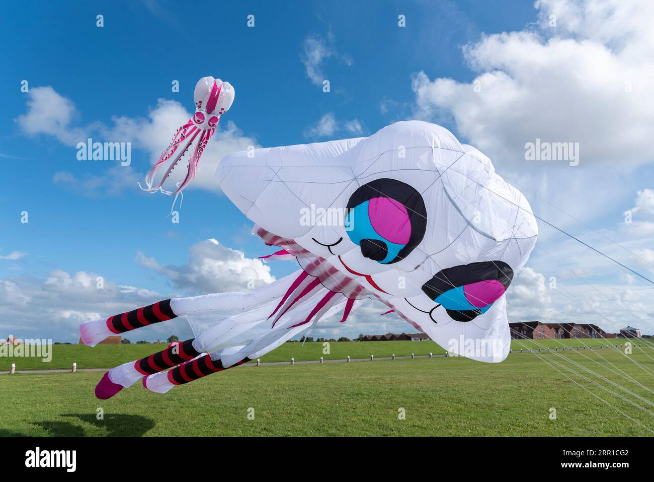 Kites auf der sogenannten Drachenwiese, Norddeich, Niedersachsen, Deutschland, Europa Stockfoto