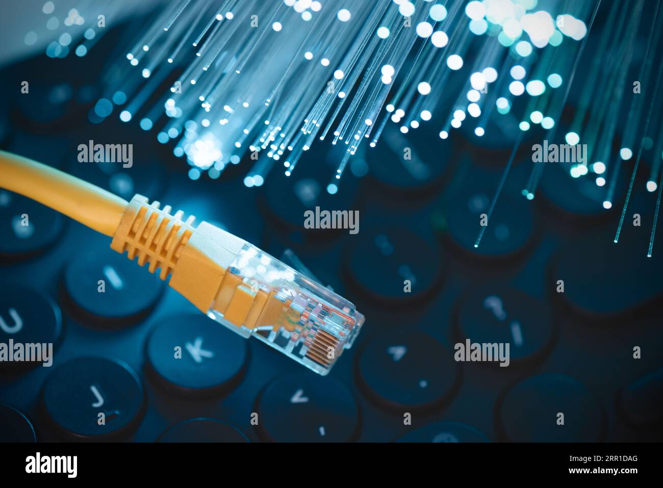 Internetkabel, Glasfaserkonzept. High-Speed-Glasfaser-Internet-Konzept Stockfoto