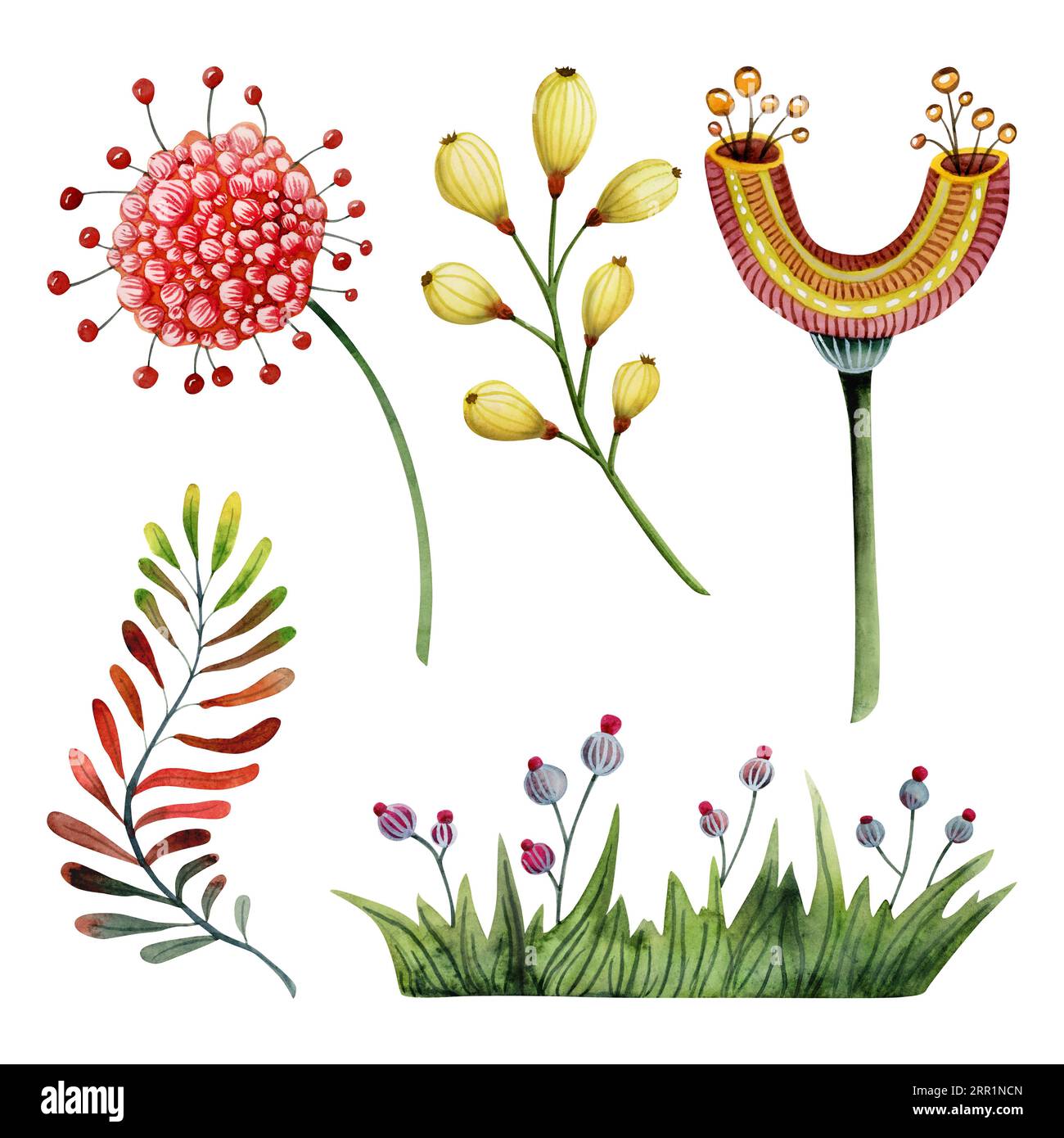 Fantasy Blumen und Pflanzen Aquarell Illustration Set. Bunte, fiktive Flora, nicht vorhandene Pflanzen Stockfoto