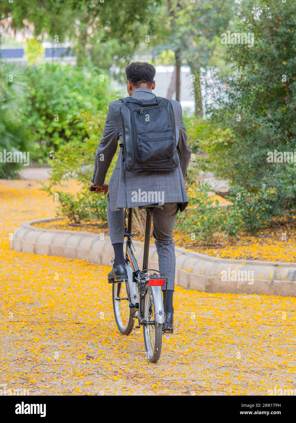 Rückansicht eines anonymen Mannes im formellen Anzug, der beim Radfahren auf dem Weg der gelbgefallenen Blätter im Herbstwald bei Tageslicht wegschaut Stockfoto