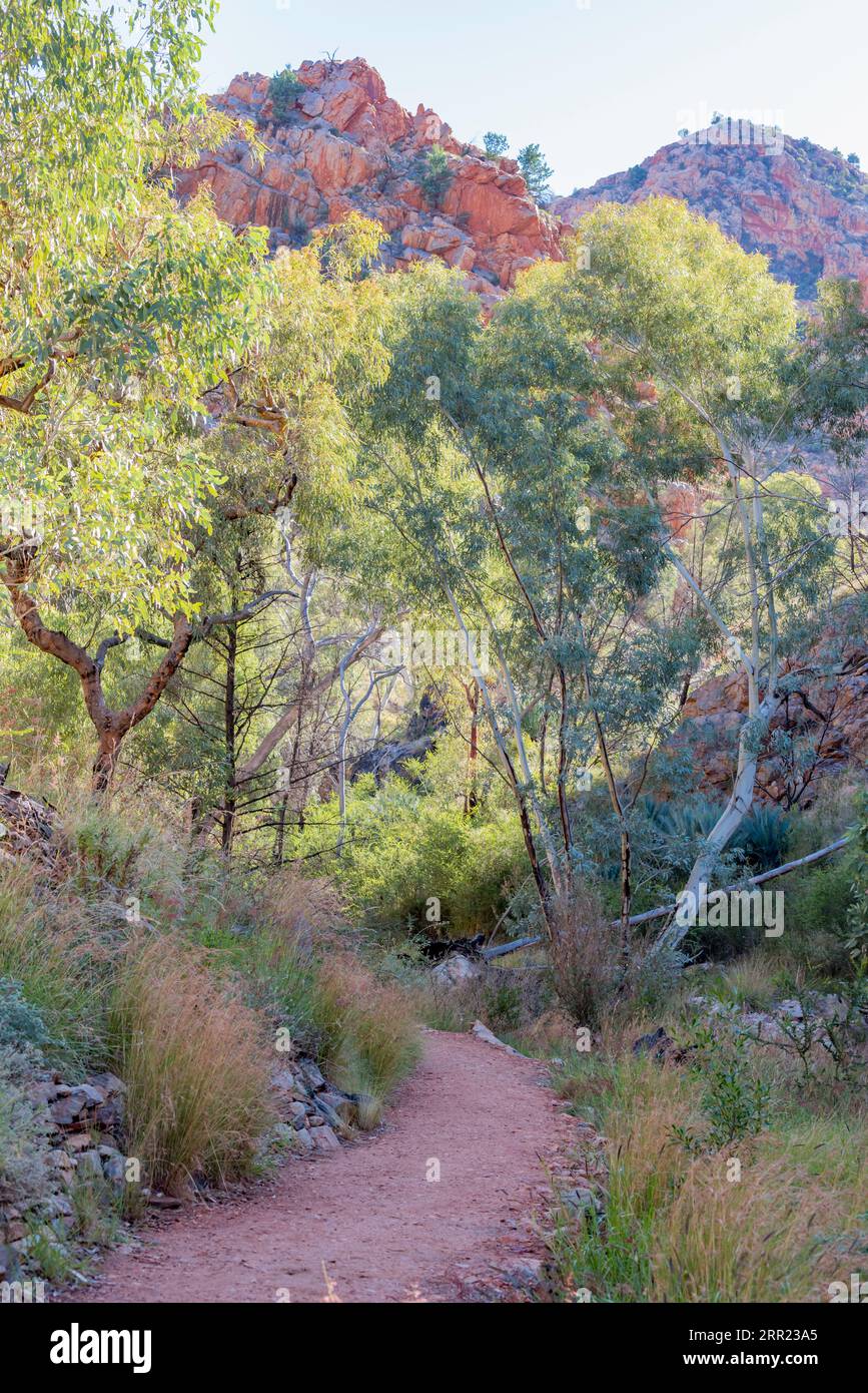 Der Weg nach Standley Chasm oder Angkerle Atwatye in Local Arrernte, einer 3 Meter breiten und 80 Meter hohen Schlucht in den West MacDonnell Ranges, NT, Australien Stockfoto