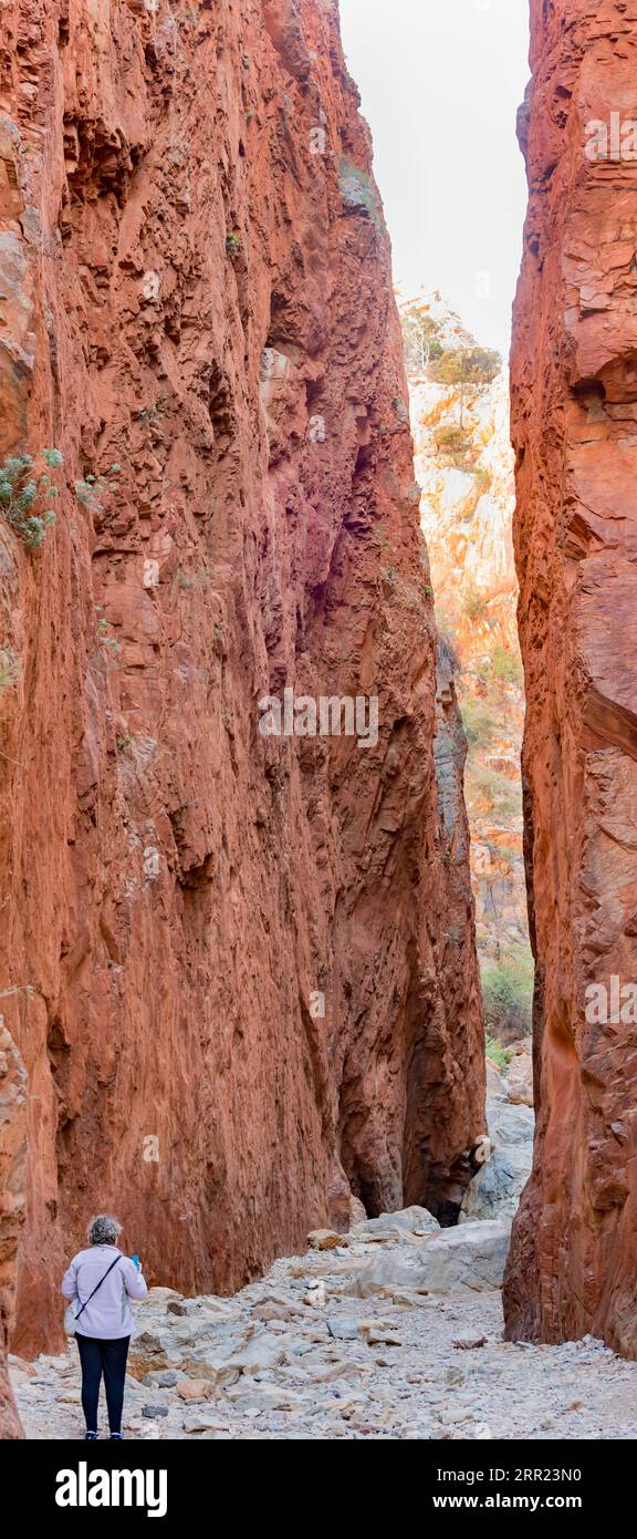 Standley Chasm oder Angkerle Atwatye, in der lokalen Arrernte-Sprache, ist eine 3 Meter breite und 80 Meter hohe Schlucht in den West MacDonnell Ranges, NT, Australien Stockfoto