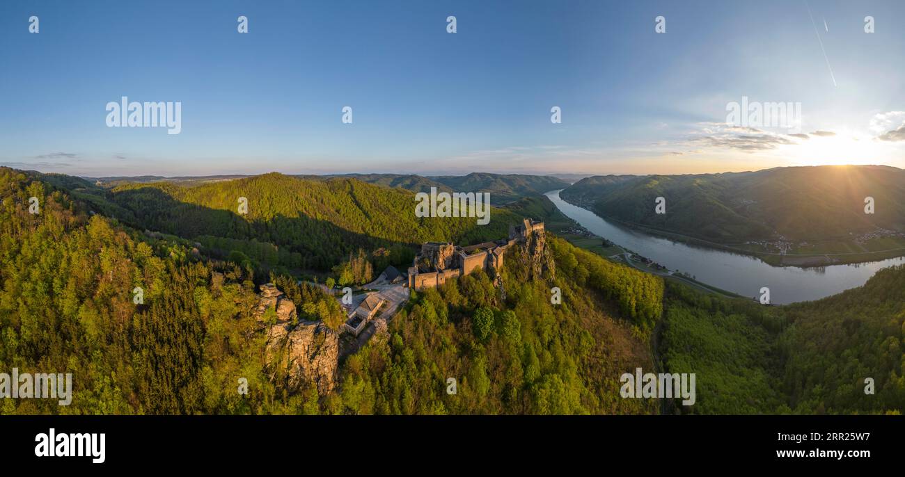 Drohnenaufnahme der Ruine Aggstein bei Sonnenaufgang mit Donau, Wachau, Schönbühel-Aggsbach, Niederösterreich, Österreich Stockfoto