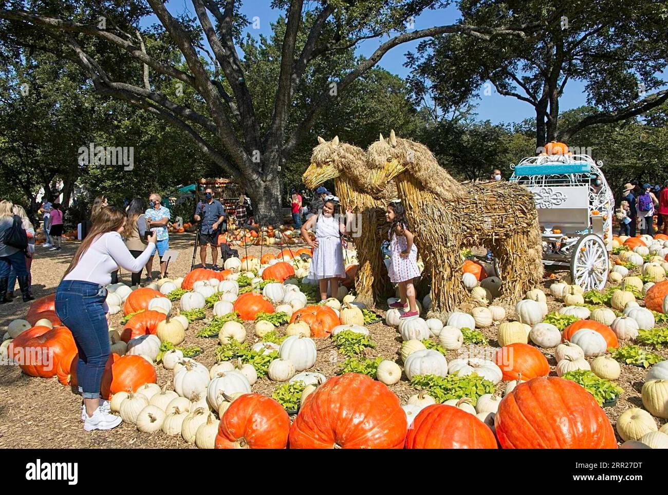 201004 -- DALLAS U.S., 4. Oktober 2020 -- Eine Frau fotografiert am 4. Oktober 2020 in Dallas Arboretum's Pumpkin Village, Texas, USA. Das landesweit renommierte Pumpkin Village im Dallas Arboretum bietet Kürbishäuser und kreative Ausstellungen aus mehr als 90.000 Kürbissen, Kürbissen und Kürbis. Foto von /Xinhua U.S.-DALLAS-ARBORETUM-KÜRBISDORF DanxTian PUBLICATIONxNOTxINxCHN Stockfoto