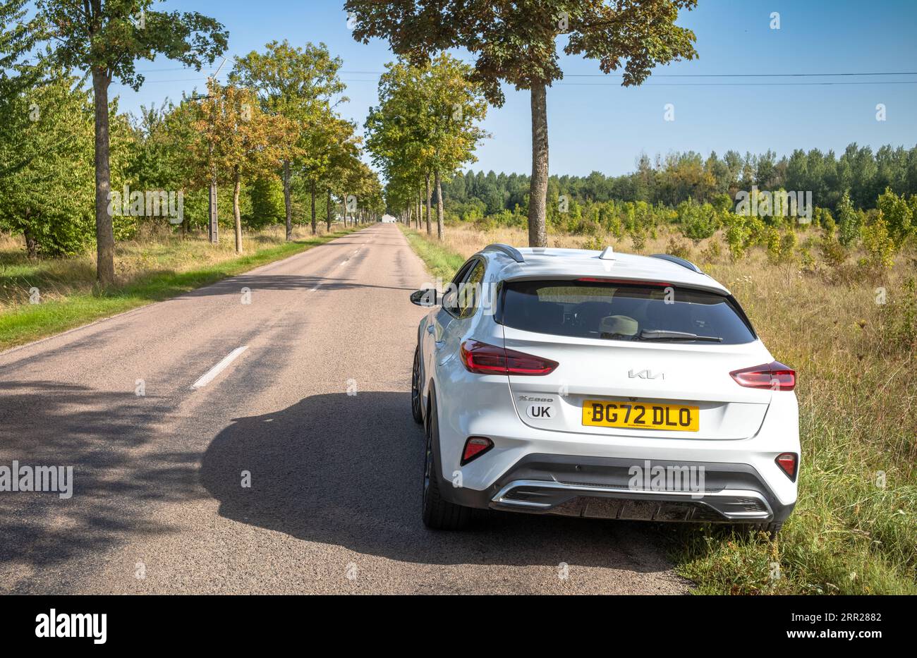 Ein britisch zugelassenes Auto mit dem Label „UK“ hielt an einer langen, geraden und von Bäumen gesäumten Landstraße in der Nähe von Mery-sur-seine in Mittelfrankreich Stockfoto