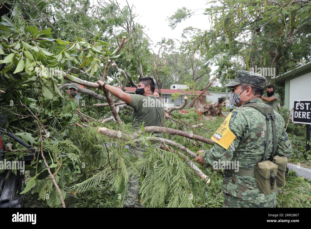 201008 -- QUINTANA ROO, 8. Oktober 2020 -- Soldaten säubern umgestürzte Bäume, nachdem Hurrikan Delta Cancun, Quintana Roo, Mexiko, 7. Oktober 2020 getroffen hat. Hurrikan Delta schwächte sich von einem Zyklon der Kategorie 4 zu einem Zyklon der Kategorie 2 ab, als es Anfang Mittwoch im mexikanischen Karibikstaat Quintana Roo landete, aber starke Regenfälle und starke Winde verursachten immer noch einige Infrastrukturschäden, sagte der National Meteorological Service SMN. Foto: /Xinhua MEXICO-QUINTANA ROO-HURRICANE DELTA RodolfoxFlores PUBLICATIONxNOTxINxCHN Stockfoto