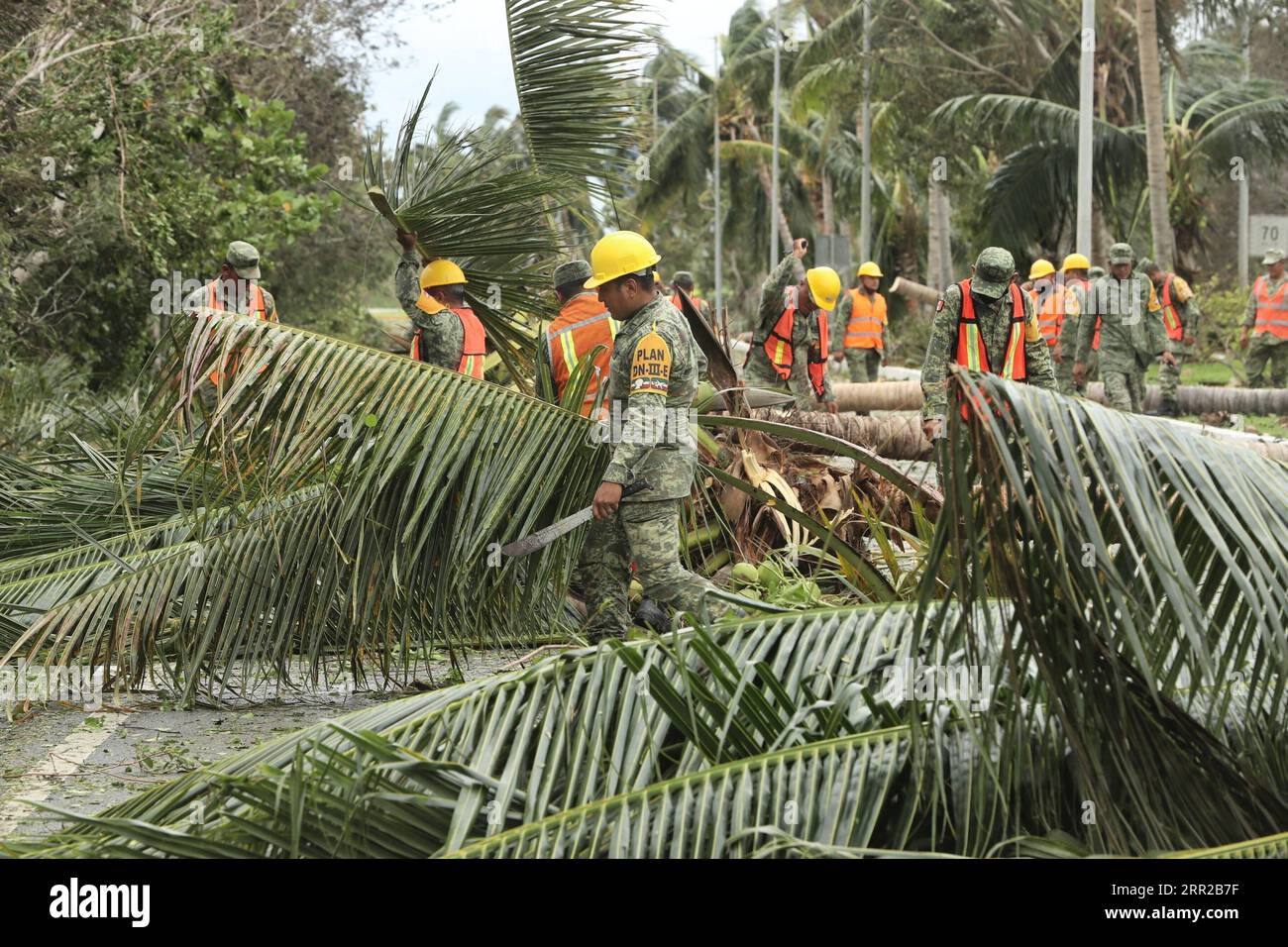 201008 -- QUINTANA ROO, 8. Oktober 2020 -- Soldaten säubern umgestürzte Bäume, nachdem Hurrikan Delta Cancun, Quintana Roo, Mexiko, 7. Oktober 2020 getroffen hat. Hurrikan Delta schwächte sich von einem Zyklon der Kategorie 4 zu einem Zyklon der Kategorie 2 ab, als es Anfang Mittwoch im mexikanischen Karibikstaat Quintana Roo landete, aber starke Regenfälle und starke Winde verursachten immer noch einige Infrastrukturschäden, sagte der National Meteorological Service SMN. Foto: /Xinhua MEXICO-QUINTANA ROO-HURRICANE DELTA MauricioxCollado PUBLICATIONxNOTxINxCHN Stockfoto