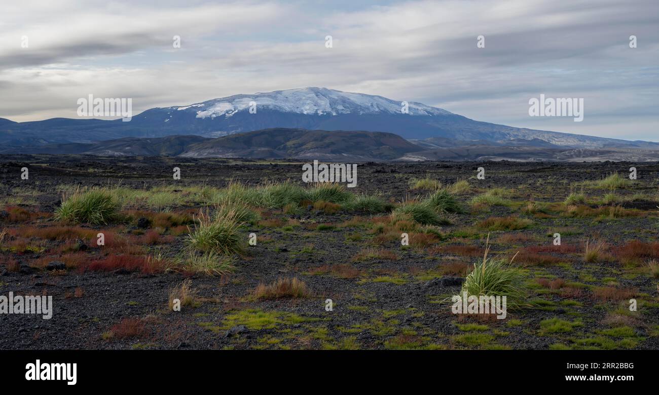 Landschaft rund um den schneebedeckten Vulkan Hekla, Südisland, Island Stockfoto