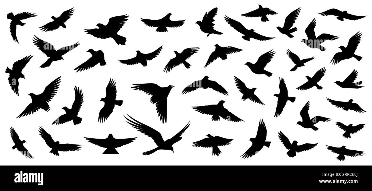 Silhouetten von fliegenden Vögeln in flachem Stil auf weißem Hintergrund. Vektorillustration Stock Vektor