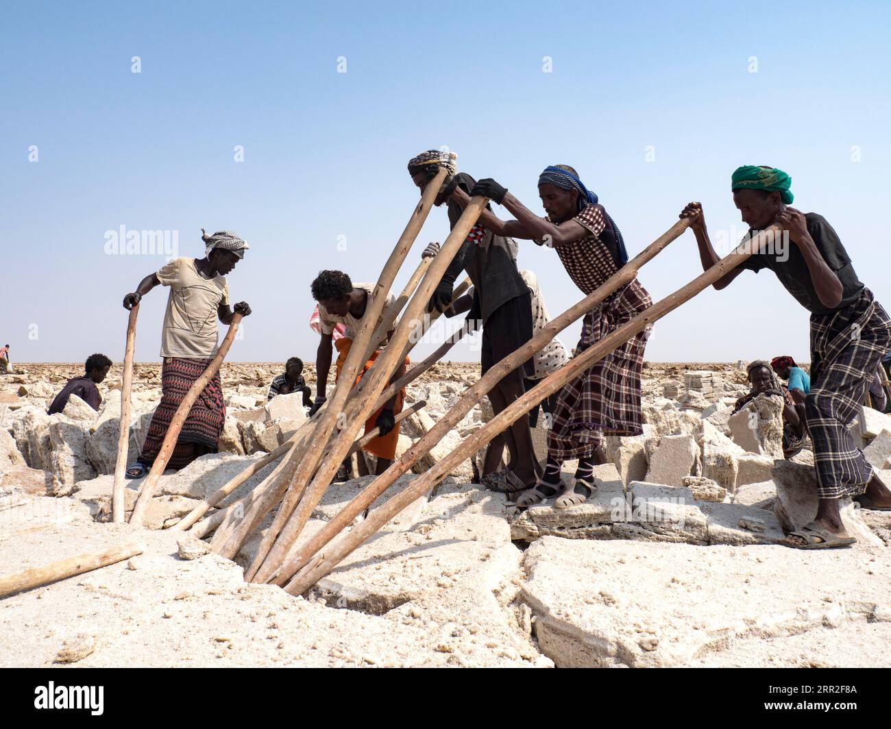 Salzgewinnung, Arbeiter, die Salz abbauen, Dallol, Danakil-Wüste, Äthiopien Stockfoto
