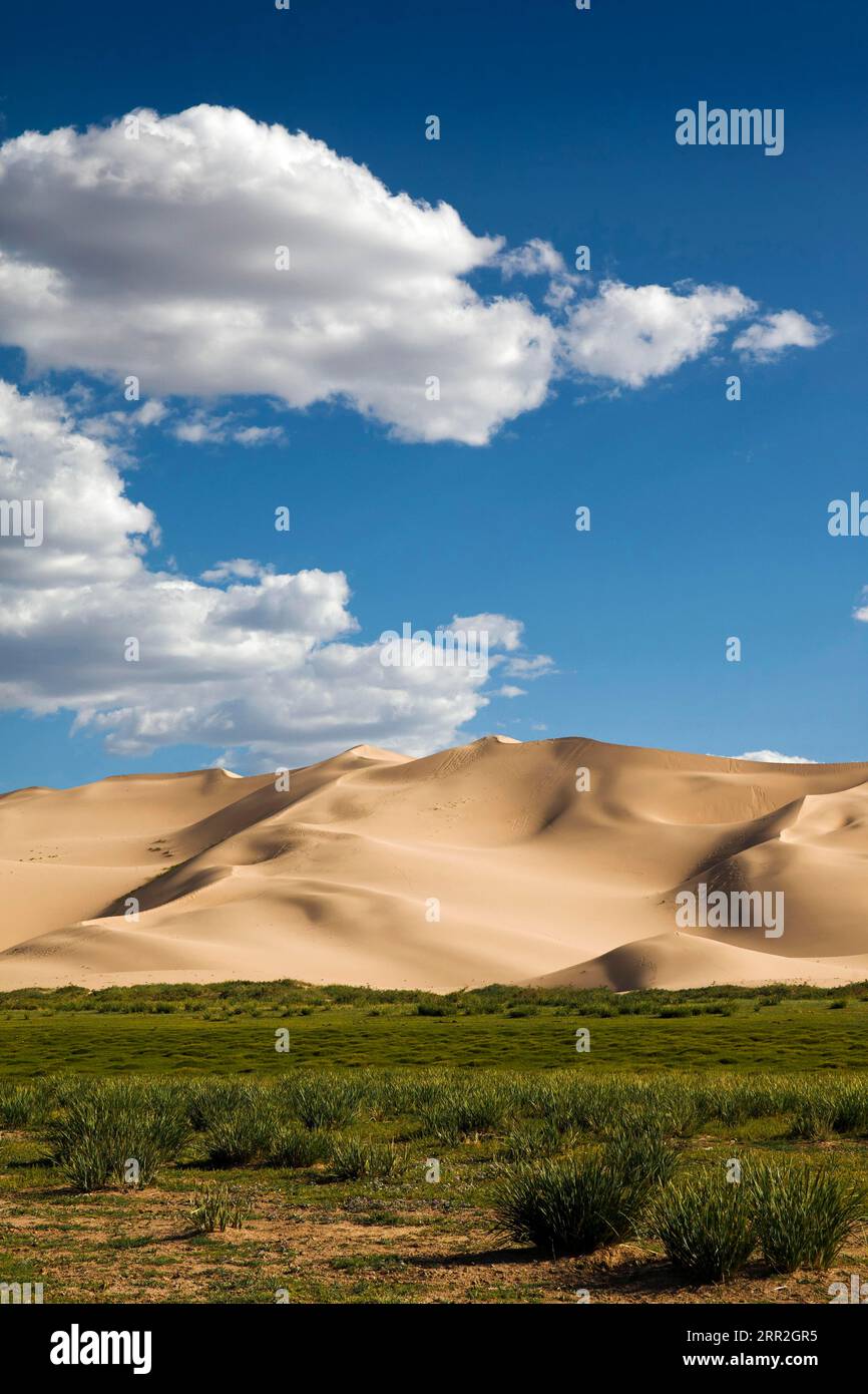 Hongor Dunes, Wüste Gobi, Mongolei Stockfoto