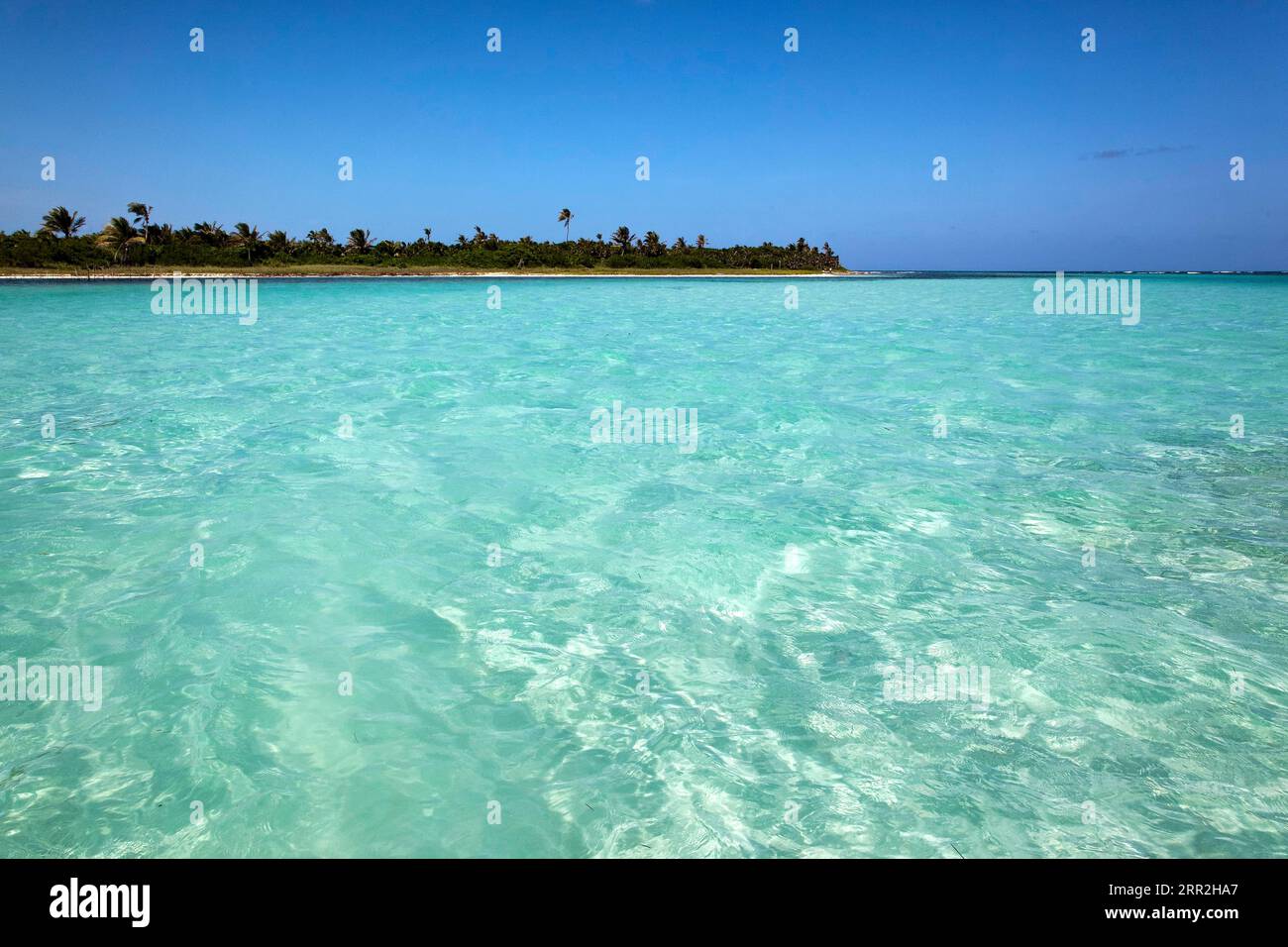 Riviera Maya Coast, Riviera Maya, Sian Ka'an, Yucatan, Mexiko Stockfoto