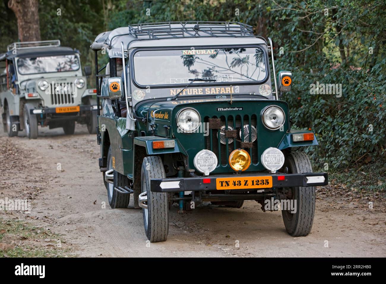 Jeeps, Mudumalai National Park, Nilgiris District, Tamil Nadu, Indien Stockfoto