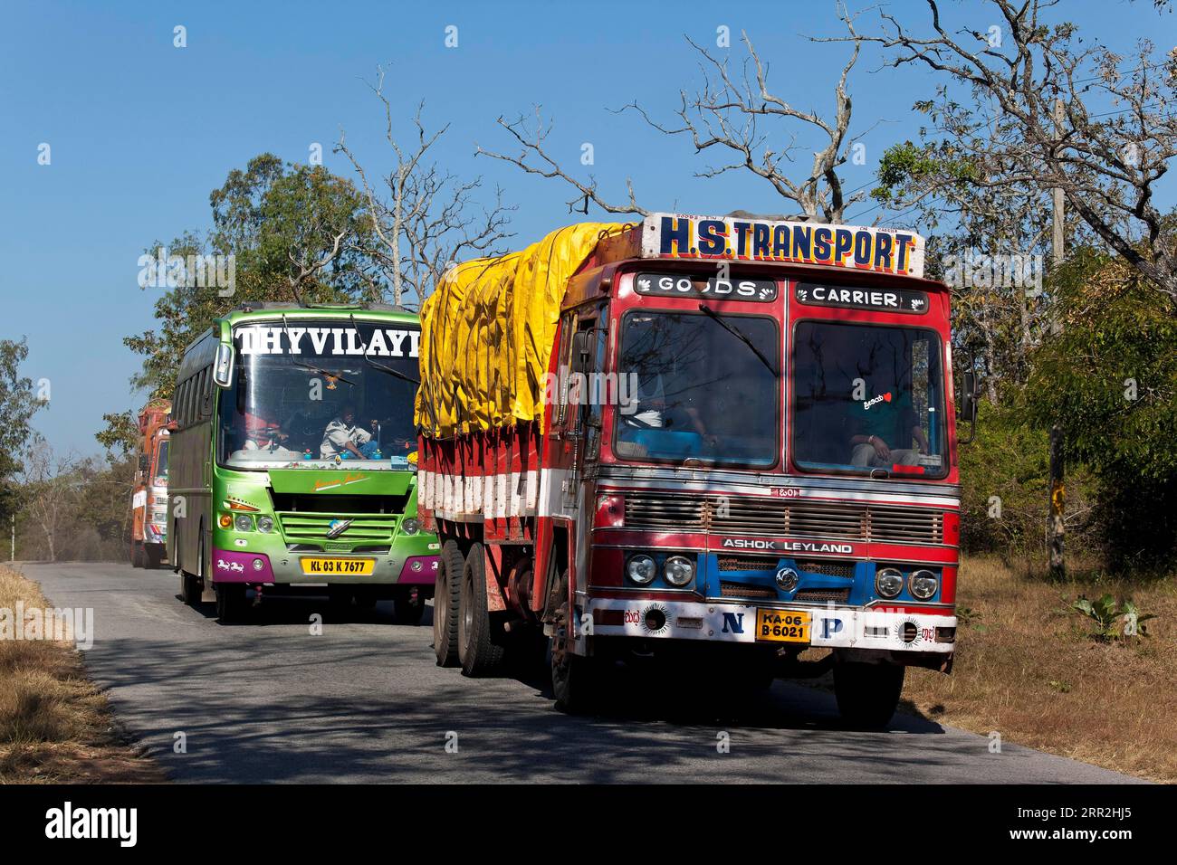 Bunte Trucks, Mudumalai National Park, Nilgiris District, Tamil Nadu, Indien Stockfoto