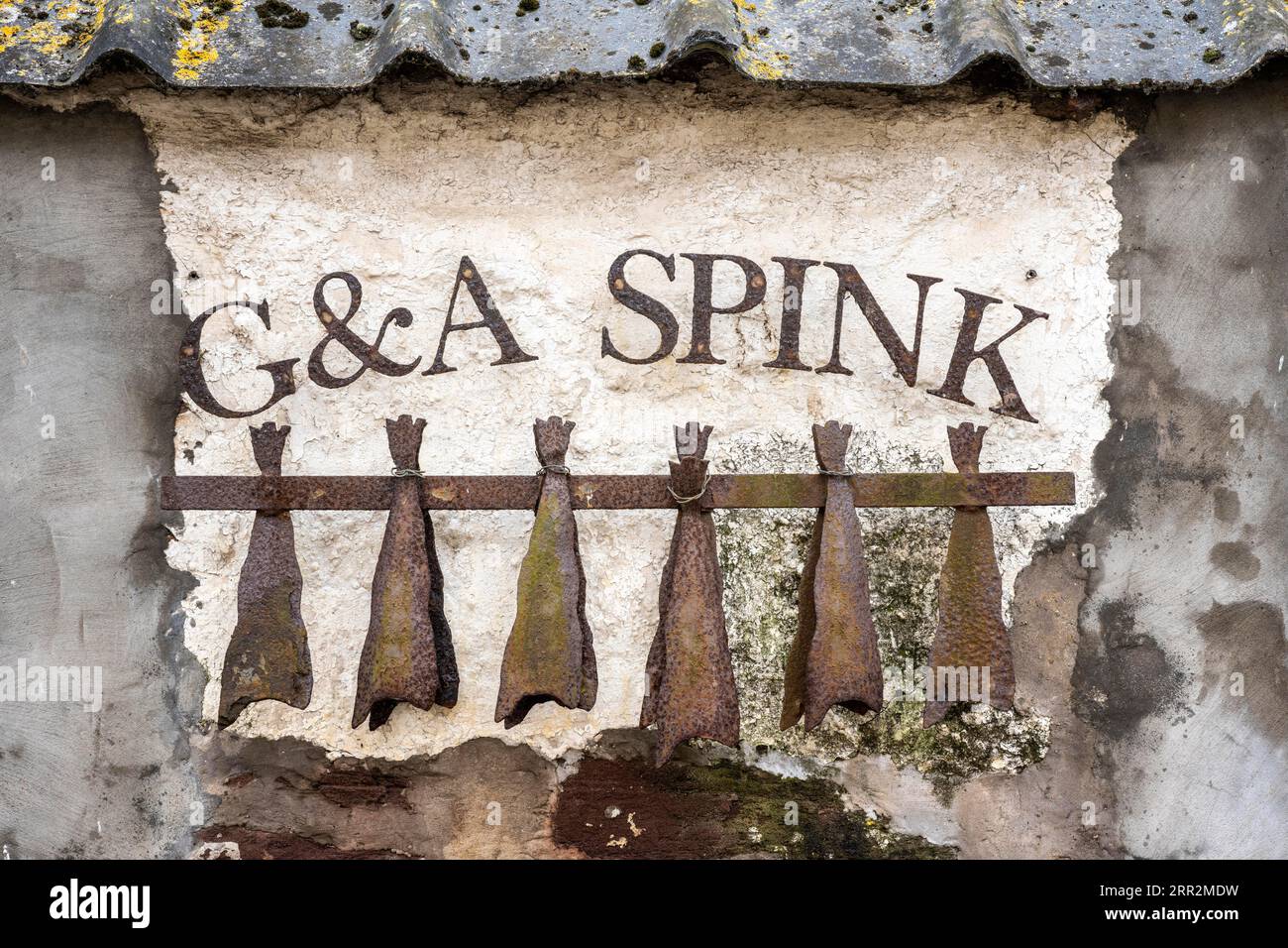 Alte traditionelle Fischräucherei mit stilvollen smokies, einer regionalen Fischspezialität, geräucherten Schellfisch-Filets, paarweise zum Rauchen gehängt, Arbroath Stockfoto