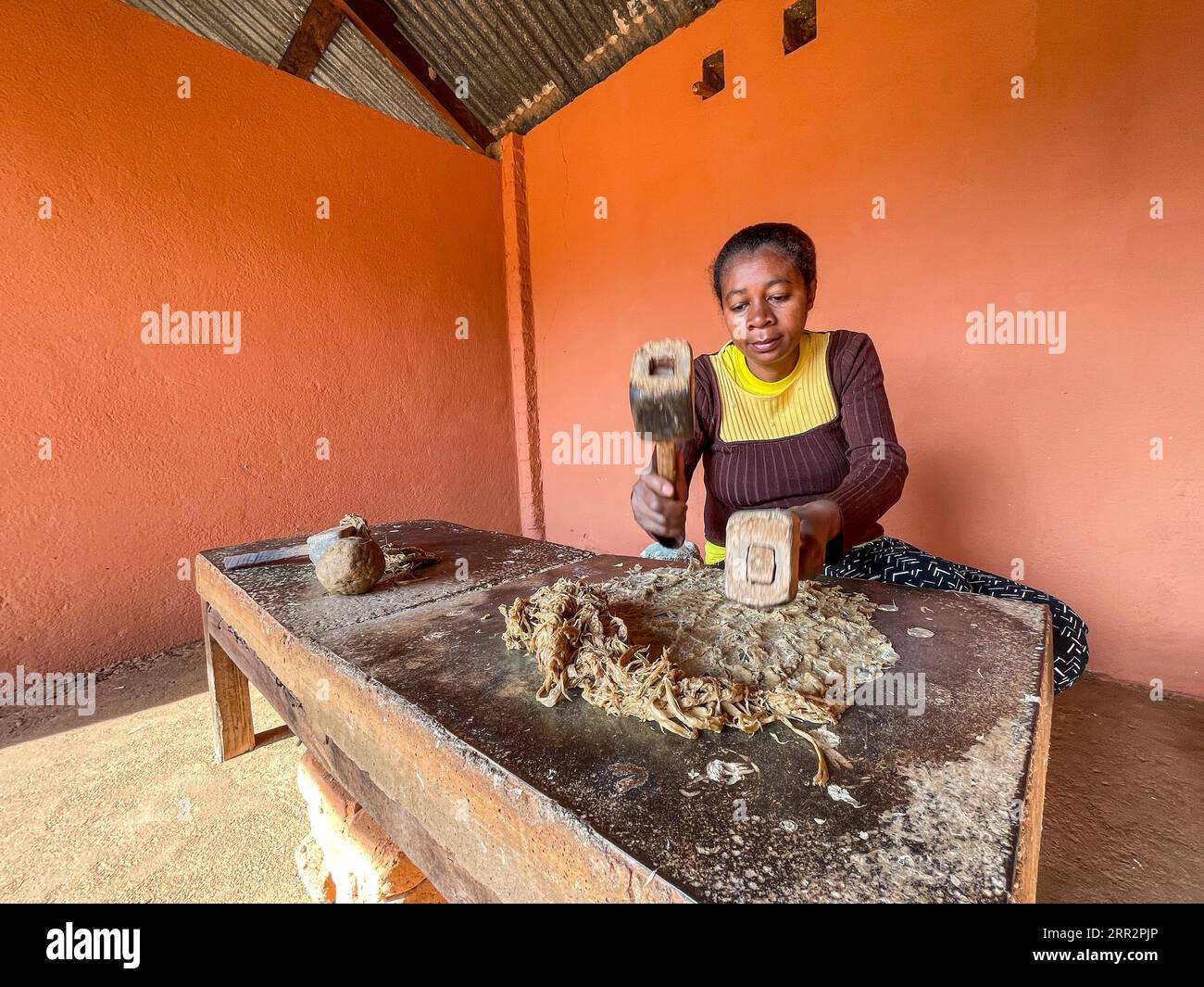 Madagaskar, Ambalavao, Antemoro Papierfabrik, Handwerkerin arbeitet Papier Stockfoto