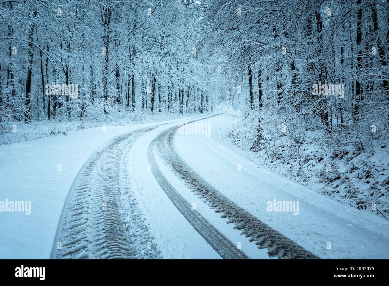 Radspuren auf einer schneebedeckten Straße im Winterwald Stockfoto
