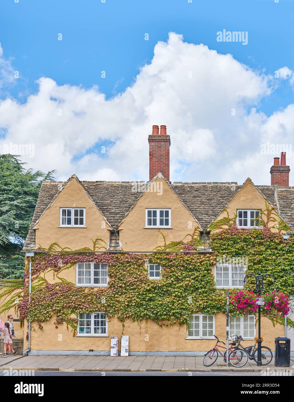 Ivy Clad Wall am Trinity College, University of Oxford, England. Stockfoto