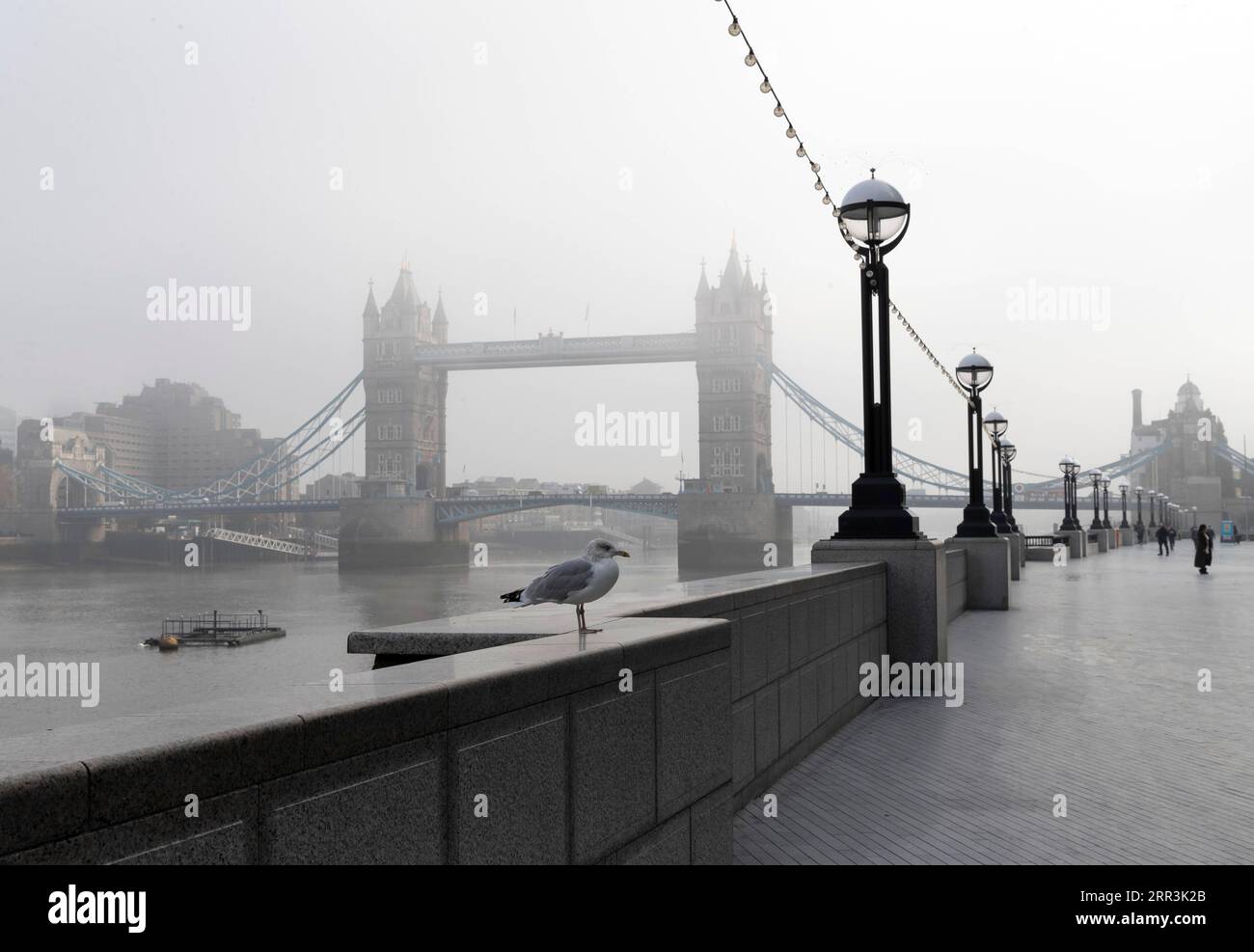 News Bilder des Tages 201105 -- LONDON, 5. Nov. 2020 -- Foto aufgenommen am 5. Nov. 2020 zeigt die im Nebel gehüllte Tower Bridge in London, Großbritannien. Die britischen Gesetzgeber stimmten am Mittwoch mit 516 gegen 38 Stimmen für die monatelange Sperre der Regierung für England, eine Mehrheit von 478 Stimmen. Das Abstimmungsergebnis ebnete den Weg für die neuen Maßnahmen, die der britische Premierminister Boris Johnson am Samstag angekündigt hatte, um die ansteigenden Coronavirus-Infektionen zu unterbinden. GROSSBRITANNIEN-LONDON-COVID-19-LOCKDOWN HanxYan PUBLICATIONxNOTxINxCHN Stockfoto