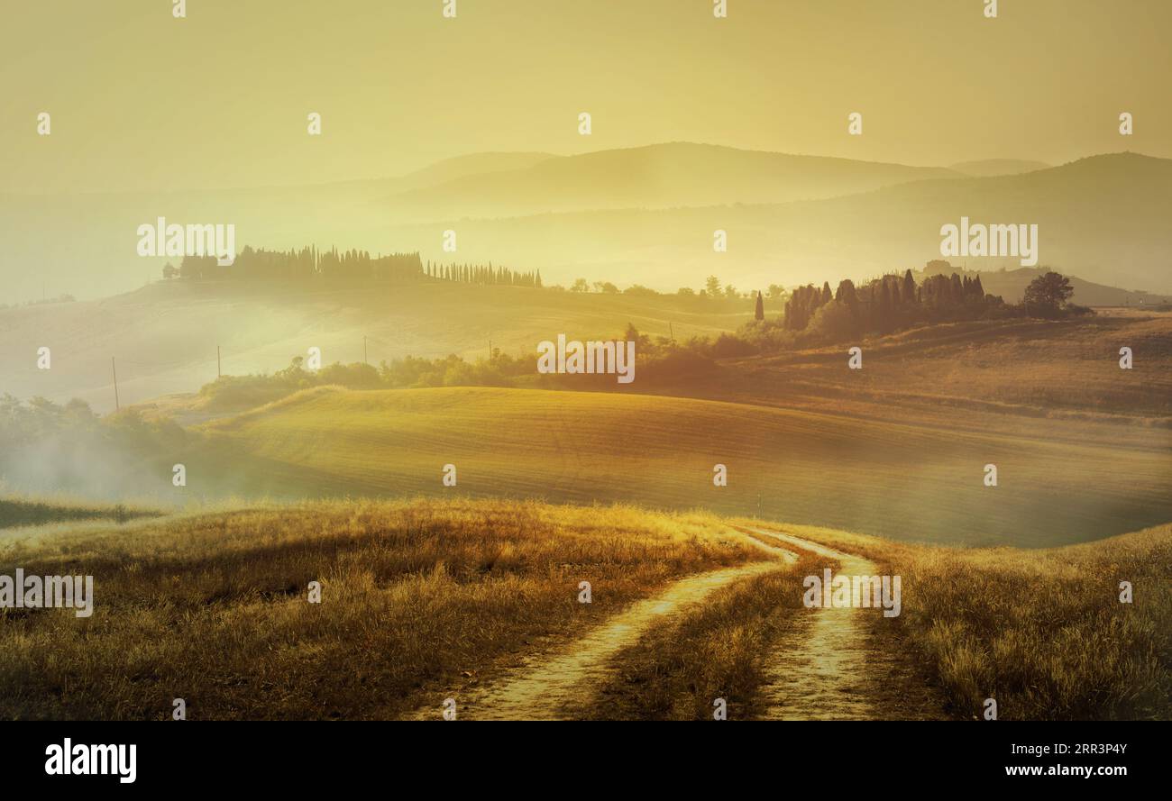 Beeindruckendes Panorama Italienische Landschaft, Blick mit Zypressen, Weinbergen und Bauernfeldern. Toskana, Italien Stockfoto