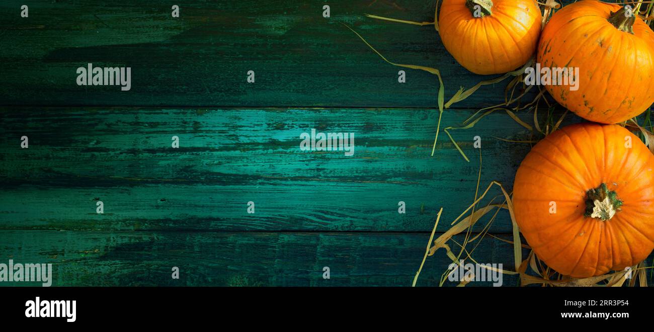 Hallo Herbst Rahmen oder Rahmen. Herbsternte Hintergrund; Kürbisse auf altem Holztisch bei Sonnenlicht Stockfoto