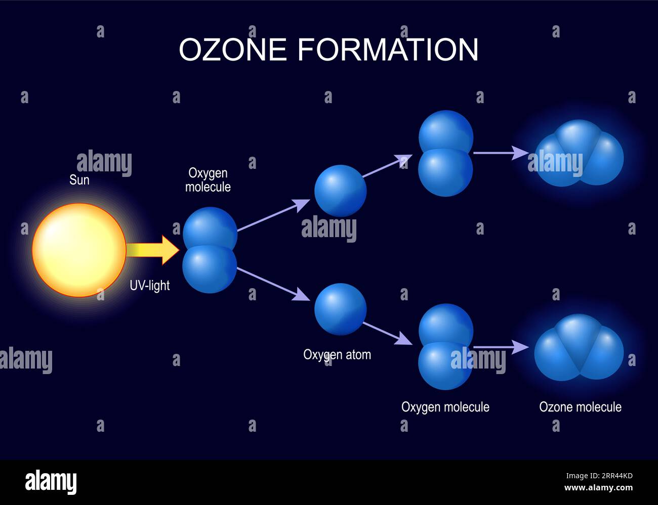 Ozonbildung. Moleküle Ozon- und Sauerstoffatome auf dunklem Hintergrund. Ozon ist eine Form von Sauerstoff, bei der drei Sauerstoffatome miteinander verbunden sind. Vektorillust Stock Vektor