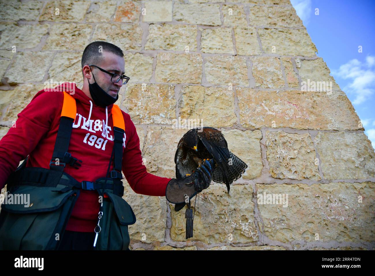 201123 -- ZURRIEQ, 23. November 2020 -- Ein Falkner und sein harris Falke nehmen an der Falknerei-Demonstration in Wied iz-Zurrieq, Malta, 22. November 2020 Teil. Die Veranstaltung wird anlässlich des World Falconry Day veranstaltet, der von der International Association for Falconry and the Conservation of Birds of Prey gegründet wurde. Foto: /Xinhua MALTA-ZURRIEQ-WORLD FALKNEREI-TAGFALKONER JonathanxBorg PUBLICATIONxNOTxINxCHN Stockfoto