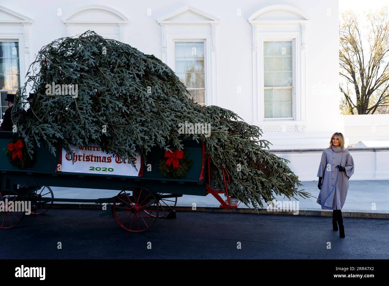 201124 -- WASHINGTON, D.C., 24. November 2020 -- US-First Lady Melania Trump begrüßt die Ankunft des Weißen Haus Weihnachtsbaums 2020 im Weißen Haus in Washington, D.C., USA, 23. November 2020. Foto von /Xinhua U.S.-WASHINGTON, D.C.-FIRST LADY-MELANIA TRUMP-CHRISTMAS TREE-ARRIVAL TingxShen PUBLICATIONxNOTxINxCHN Stockfoto