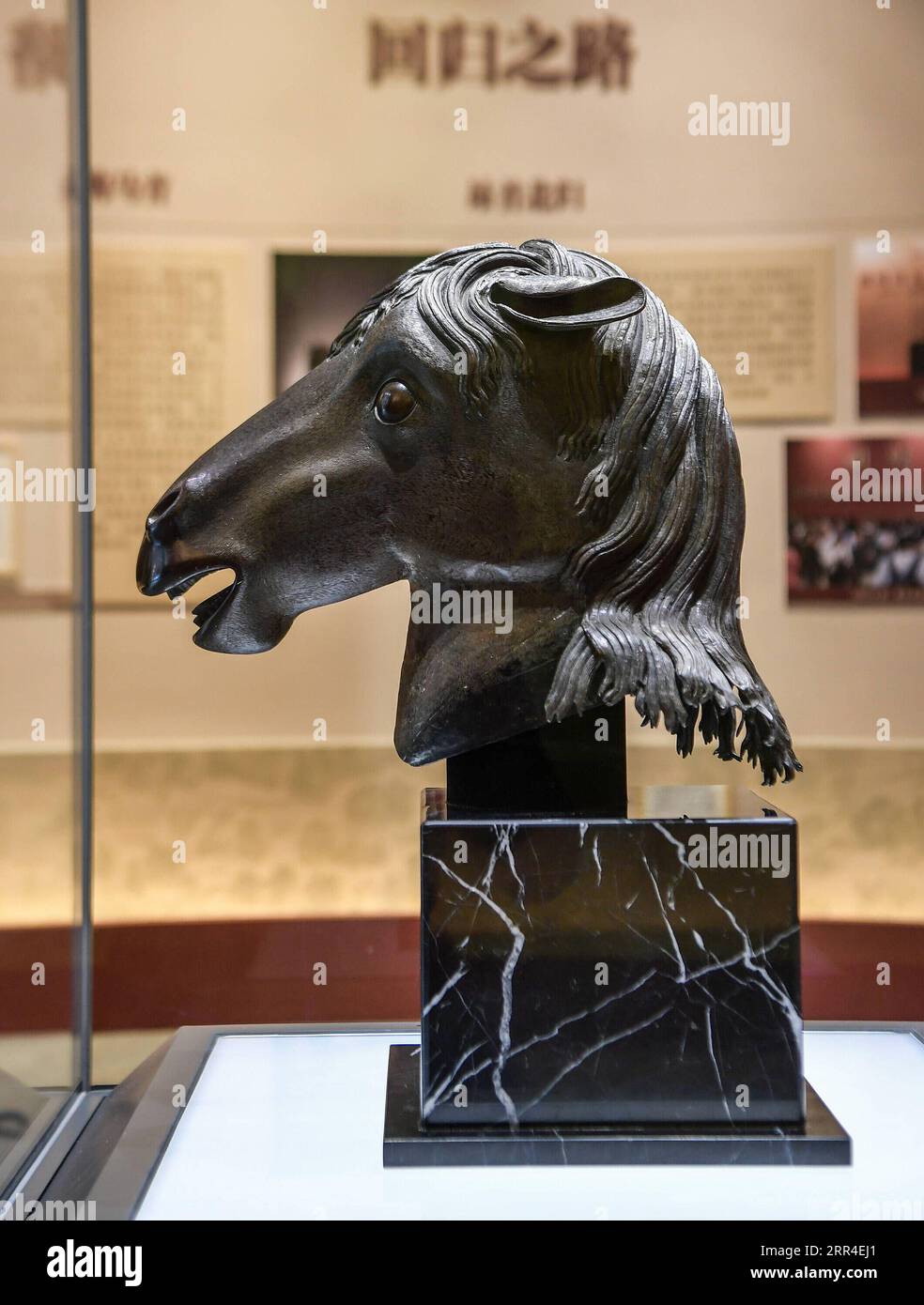 201202 -- PEKING, 2. Dezember 2020 -- Eine bronzene Pferdekopfskulptur, die aus Yuanmingyuan geplündert wurde, ist im Wenshu-Pavillon des Zhengjue-Tempels in Yuanmingyuan, Peking, Hauptstadt von China, 1. Dezember 2020 zu sehen. Eine bronzene Pferdekopfskulptur, ein Schatz des alten chinesischen Sommerpalastes, der nach einer Plünderung durch eine anglo-französische alliierte Truppe vor 160 Jahren verschwand, kehrte am Dienstag in sein ursprüngliches Palasthaus zurück. XINHUA FOTOS DES TAGES LixHe PUBLICATIONxNOTxINxCHN Stockfoto