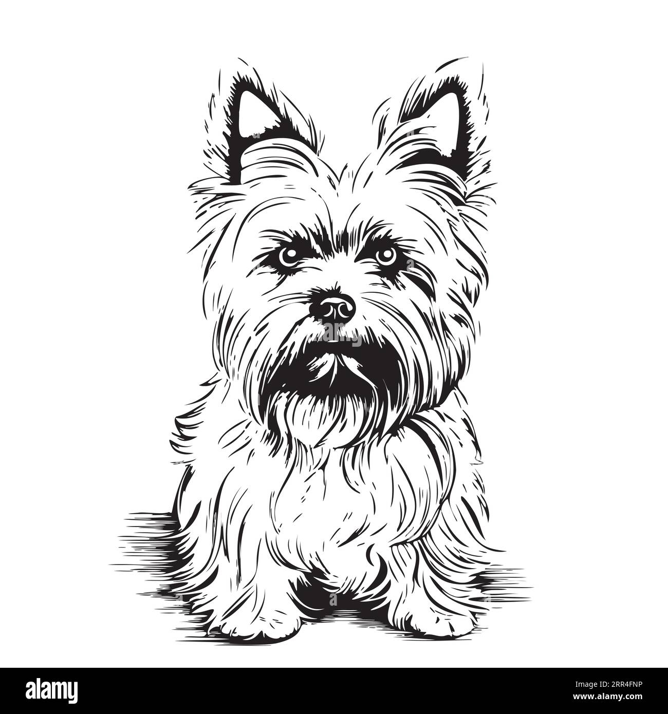 Niedlicher yorkshire Terrier Hund Skizze Hand gezeichnet in Grafik Tiere Haustiere Vektor Stock Vektor