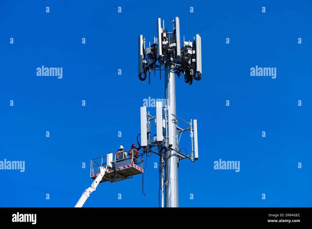Der Techniker und Arbeiter des Mobilfunkturms führt Reparaturen an einem Mobilfunkturm in Victoria, Australien, mit blauem Himmel durch. Stockfoto