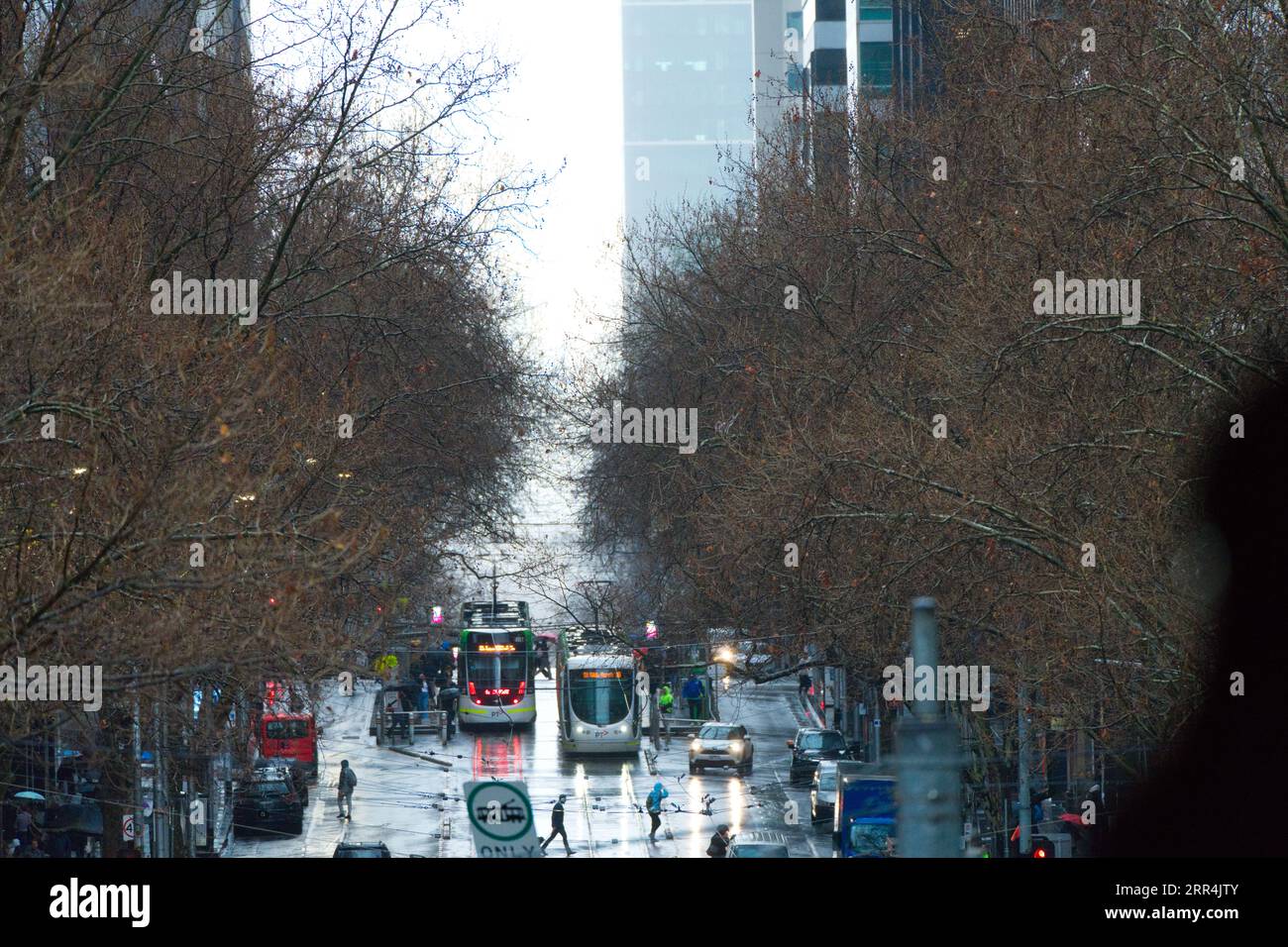 Belebte Stadtstraße an einem nassen Tag mit Bäumen, Menschen, Autos, Stadtbahnen, Bewegung und Infrastruktur, Melbourne, Australien. Stockfoto