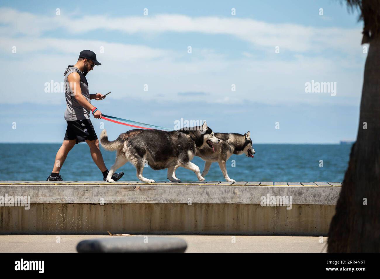 201209 -- MELBOURNE, 9. Dezember 2020 -- Ein Mann joggt mit Hunden am St Kilda Beach in Melbourne, Australien, 9. Dezember 2020. Beach Life kehrte zurück, nachdem Melbourne seine COVID-19-Sperre im November beendet hatte, die fast vier Monate gedauert hatte. Foto von /Xinhua AUSTRALIA-MELBOURNE-COVID-19-LOCKDOWN-END HuxJingchen PUBLICATIONxNOTxINxCHN Stockfoto