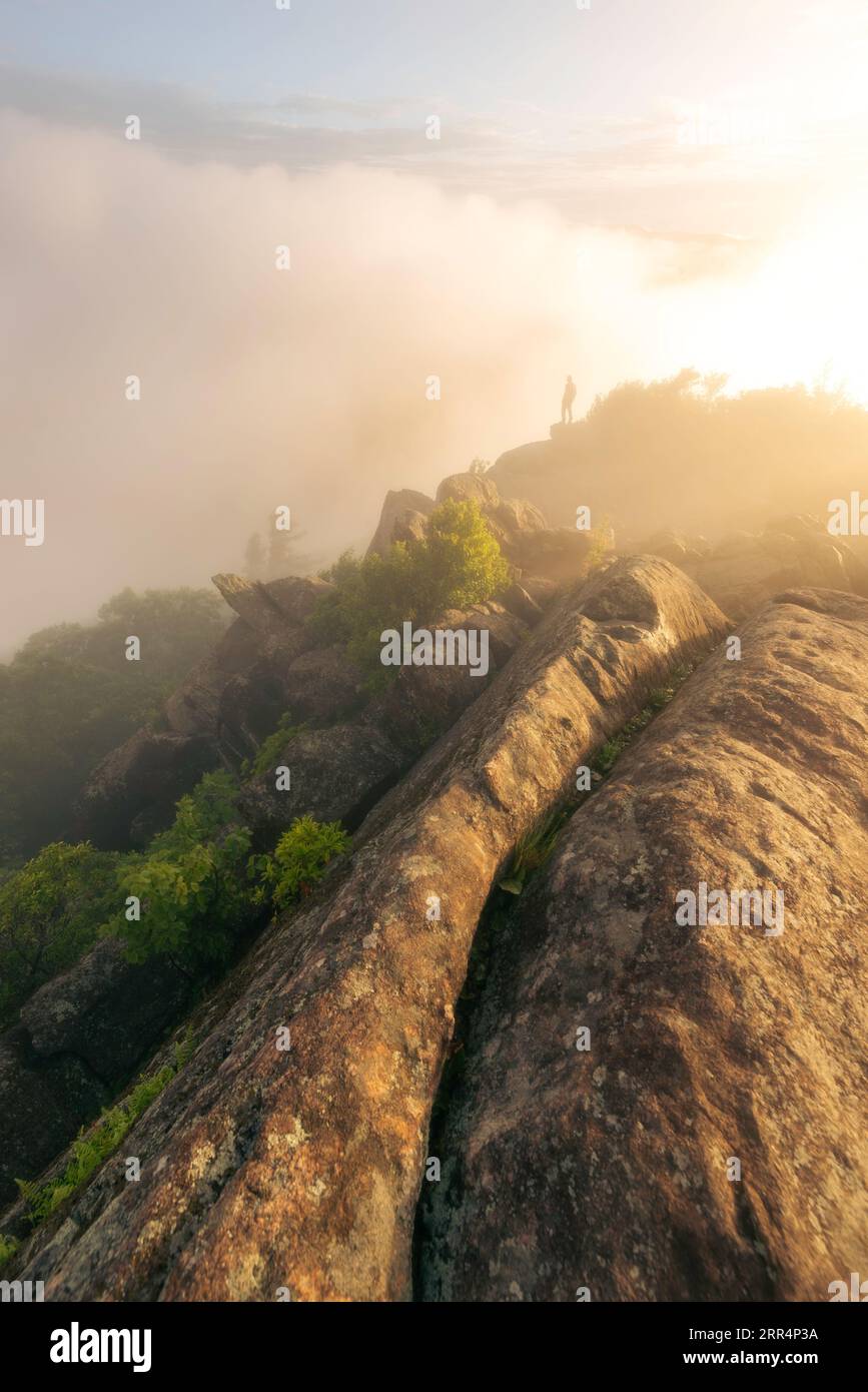 Eine kurze Pause in den Wolken erlaubte es dem goldenen Sonnenlicht, den Gipfel des Mary's Rock im Shenandoah National Park während des Sonnenaufgangs mit einem Wanderer zu erleuchten Stockfoto