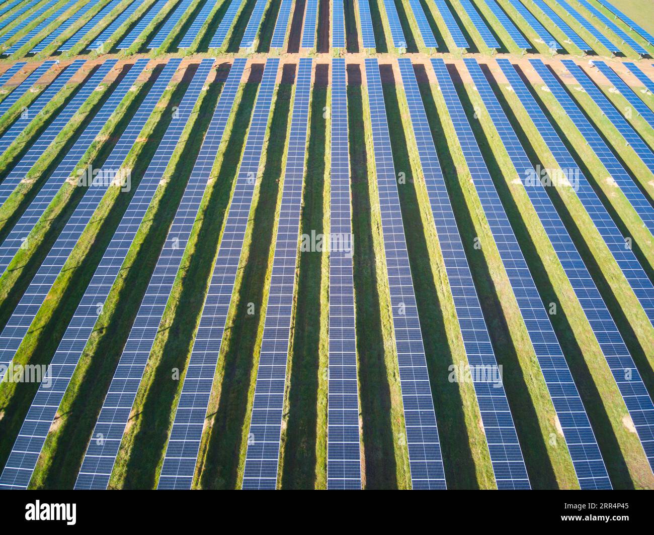 Solarfarm aus der Vogelperspektive in Victoria, Australien, mit Photovoltaik-Solarzellen in einem grünen Feld. Stockfoto