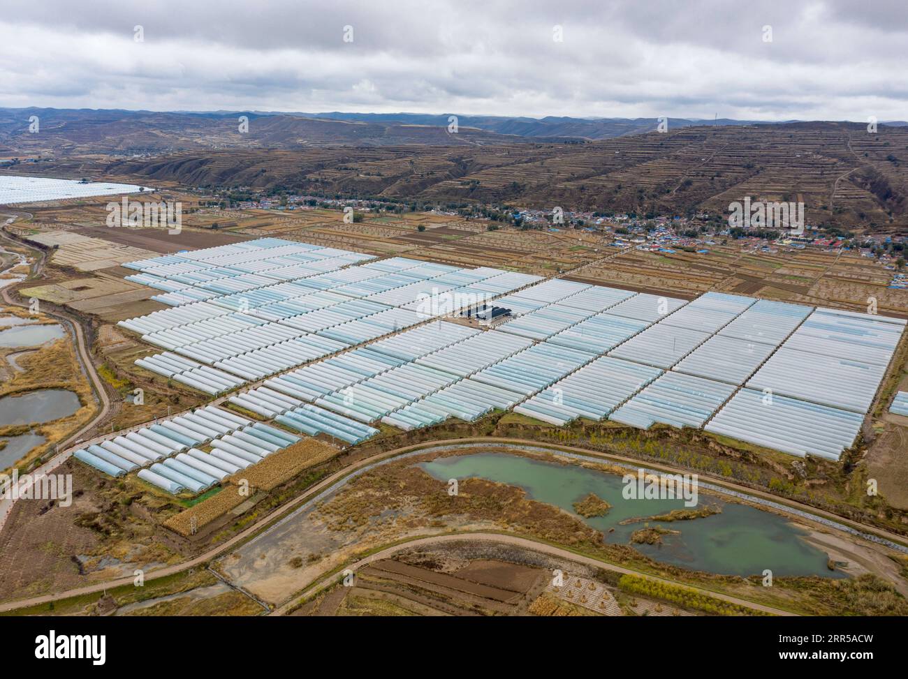 201229 -- YINCHUAN, 29. Dezember 2020 -- Luftaufnahme aufgenommen am 30. Oktober 2020 zeigt Gewächshäuser von Feng Yahong's Gemüseanpflanzungskooperative im Xiji County, NORDWESTCHINA Ningxia Hui Autonomous Region. Xihaigu, eines der ärmsten Gebiete Chinas in Ningxia, wurde am 16. November 2020 von der nationalen Armutsliste gestrichen. Der Sieg ist ein weiterer Meilenstein in Chinas Kampagne zur Beseitigung der absoluten Armut, bei der ihre Macht eine unverzichtbare Rolle spielte. Feng Yahong, eine 33-jährige Landfrau, die in der Region lebt, hat vielen einheimischen Frauen geholfen, pov zu beseitigen Stockfoto