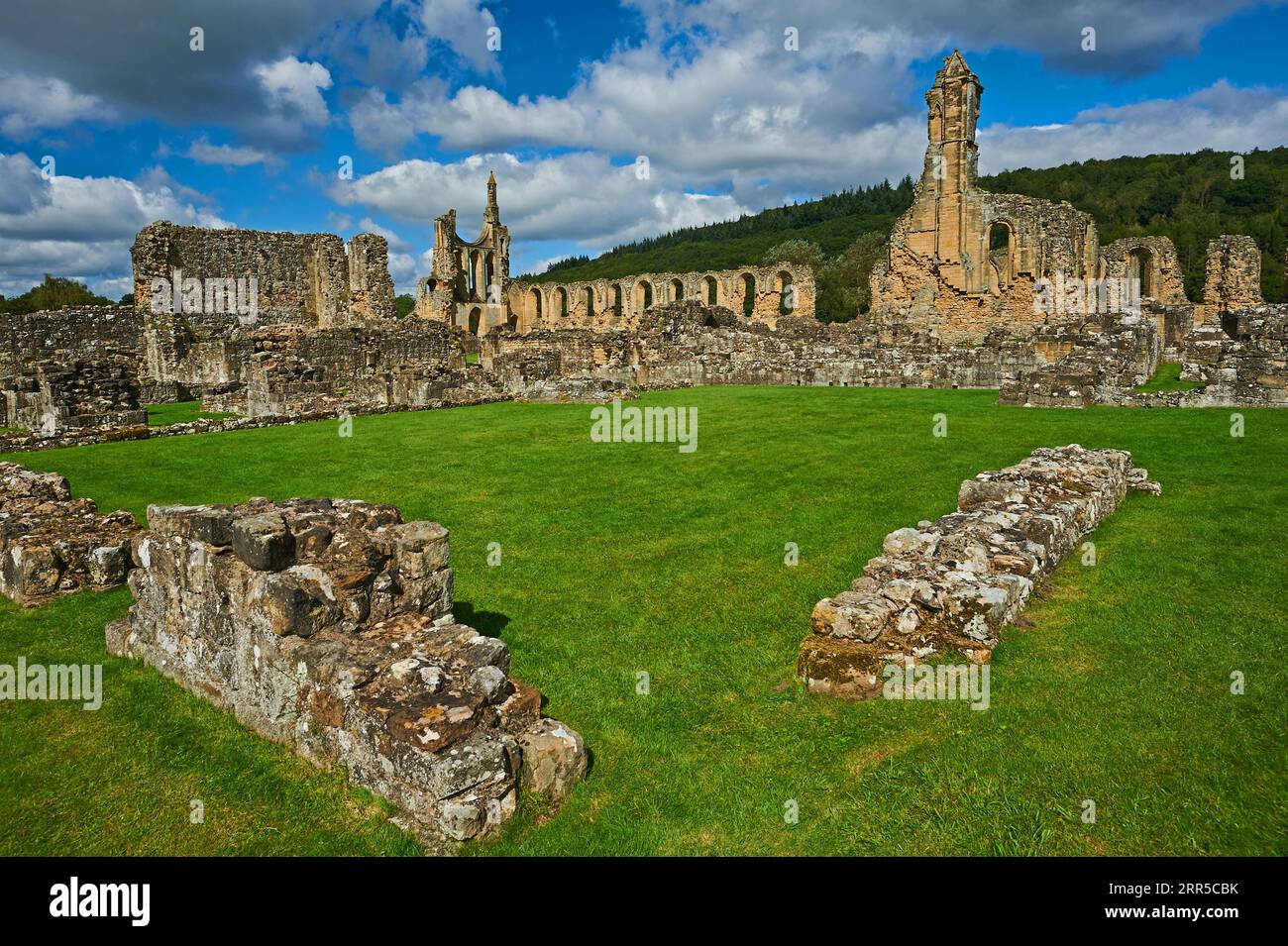 Byland Abbey Ruins, die zum 1. Grades zählende Cistercian Abbey in Rydale, North Yorkshire, ist eine historische Ruine im North Yorkshire Moors National Park Stockfoto