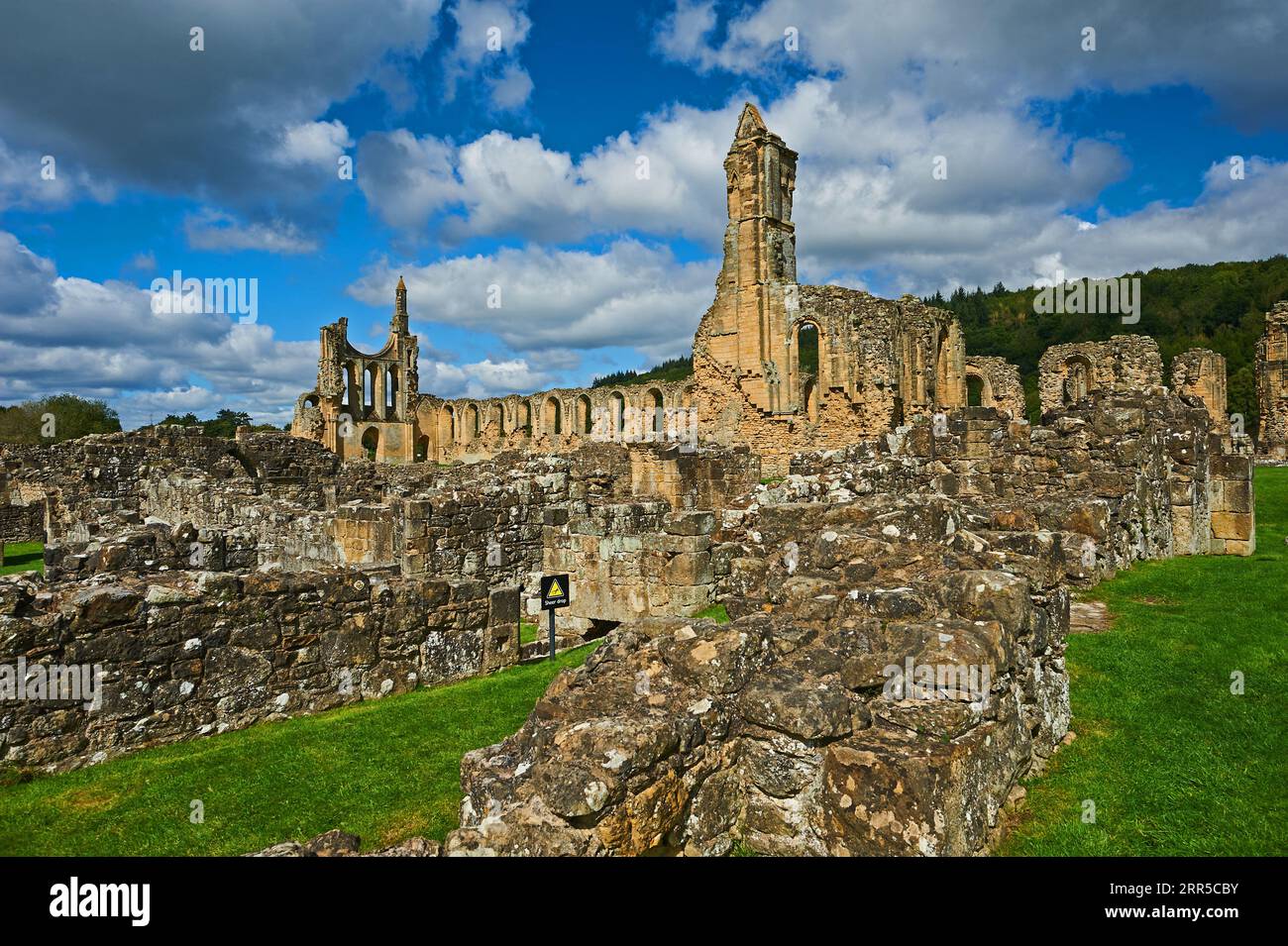 Byland Abbey Ruins, die zum 1. Grades zählende Cistercian Abbey in Rydale, North Yorkshire, ist eine historische Ruine im North Yorkshire Moors National Park Stockfoto