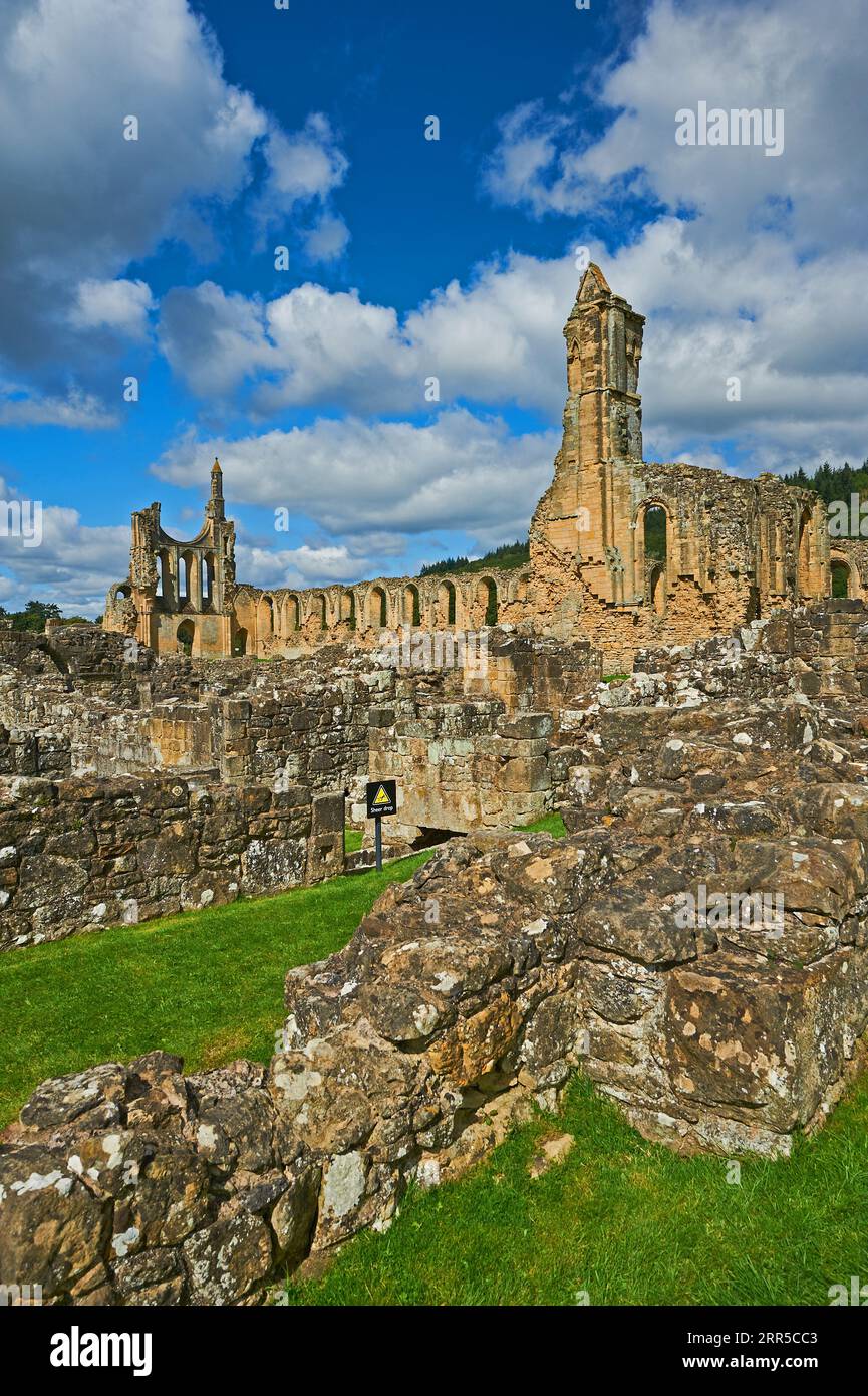 Byland Abbey Ruins, die zum 1. Grades zählende Cistercian Abbey in Rydale, North Yorkshire, ist eine historische Ruine im North Yorkshire Moors National Park Stockfoto