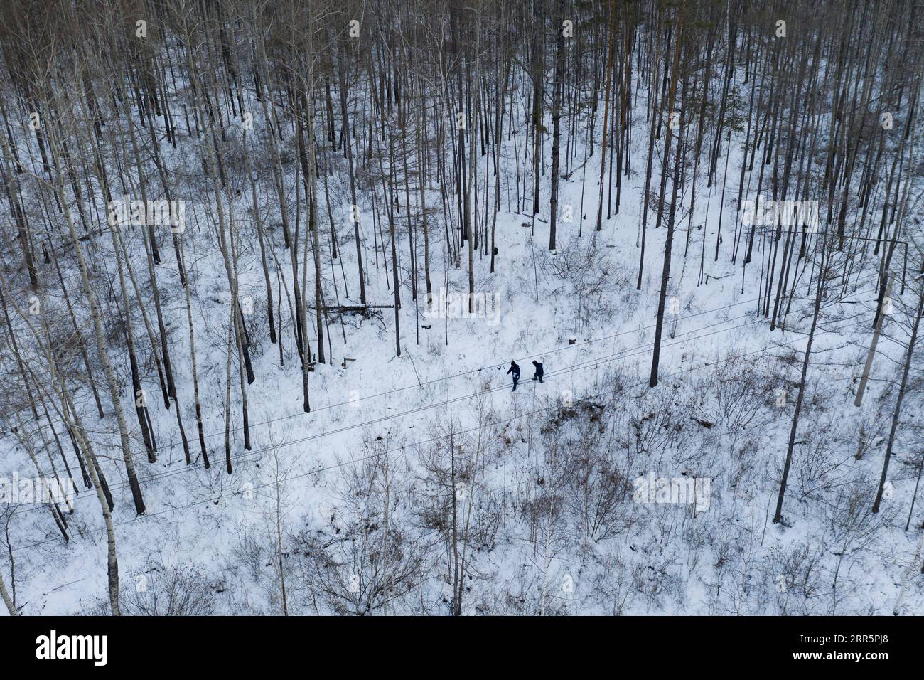 210113 -- MOHE, 13. Januar 2021 -- Luftaufnahme, aufgenommen am 12. Januar 2021, zeigt LYU Jiansheng und Wang Shaoting bei der Führung von Streifzügen durch die Stromleitungen im Wald in der Nähe des Dorfes Beiji in der Stadt Mohe, Provinz Heilongjiang im Nordosten Chinas. Das Dorf Beiji in Mohe City, der nördlichsten Stadt Chinas, konnte sich bis 2007 nur auf kleine Dieselgeneratoren für die Stromversorgung verlassen. Nach dem Anschluss an das staatliche Stromnetz errichtete Beiji Village die nördlichste Stromversorgungsstation Chinas, die Beiji Power Supply Station. Direktor LYU Jiansheng und Zählerleser Wang Shaoting sind die einzigen zwei Mitarbeiter des Stands Stockfoto