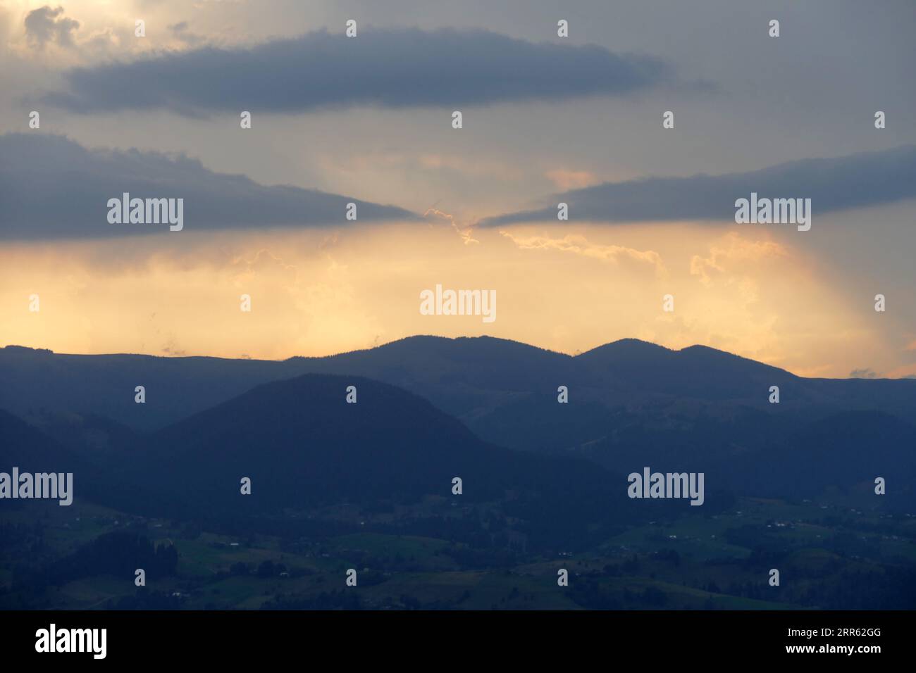 Ukraine. August 2023. REGION IWANO-FRANKIWSK, UKRAINE - 30. AUGUST 2023 - Feueralgen blüht im Hochland der Karpaten, Region Iwano-Frankiwsk, Westukraine Kredit: Ukrinform/Alamy Live News Stockfoto