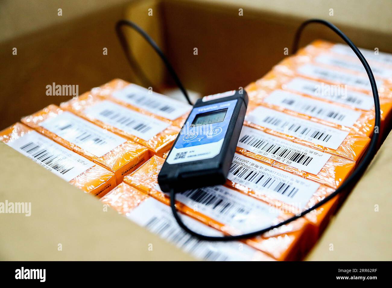 210123 PEKING, 23. Januar 2021 Foto aufgenommen am 6. Januar 2021