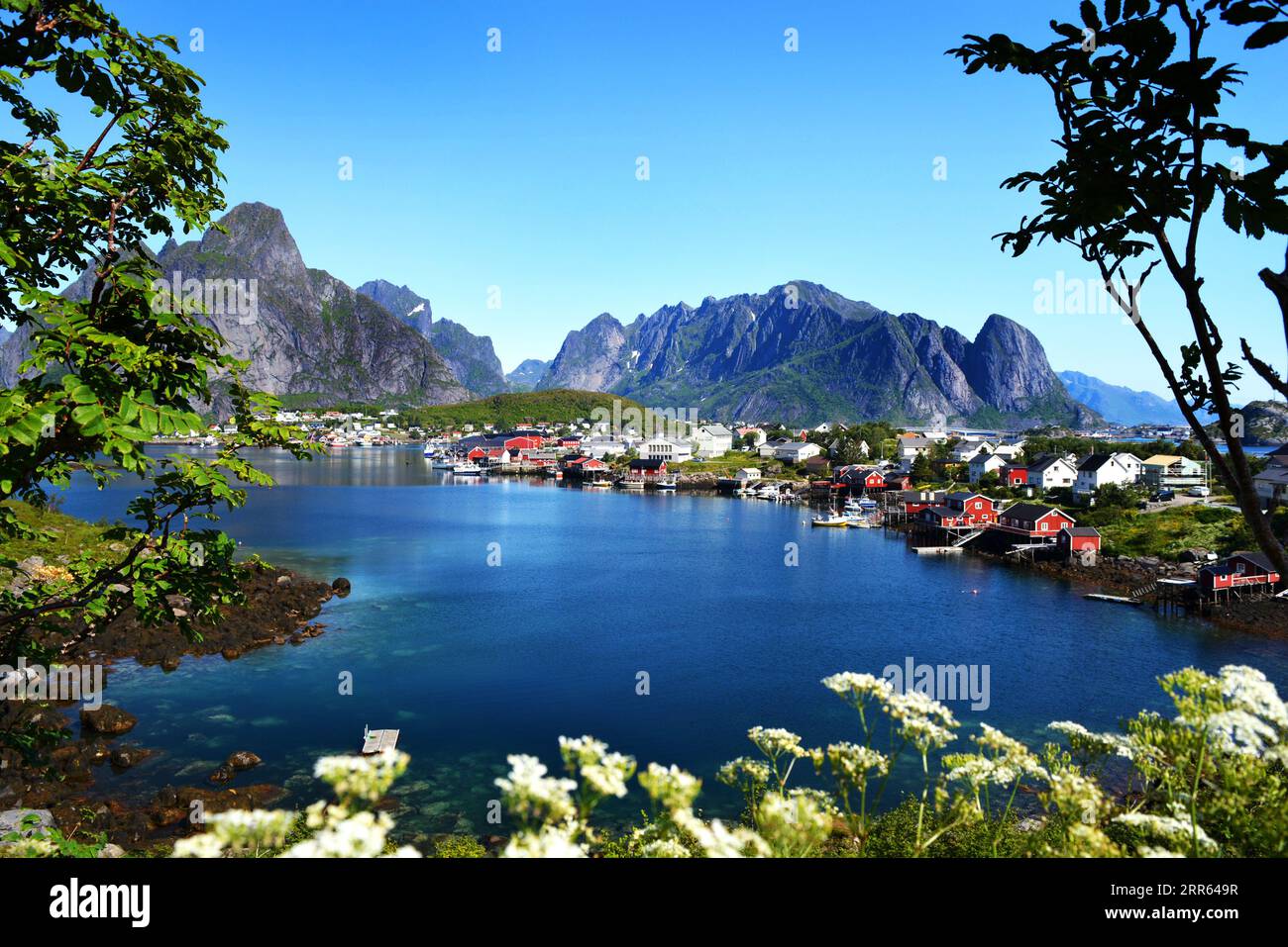 Lofoten-Inseln Reine Stockfoto