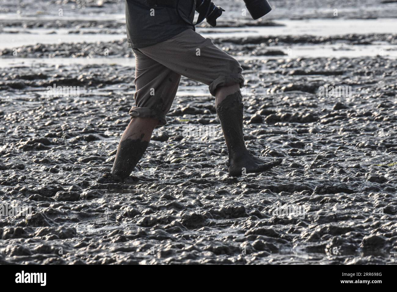210201 -- HAIKOU, 2. Februar 2021 -- Ein Mitarbeiter spaziert im Schlamm des Dongfang Black-Faced Spoonbill Nature Reserve in Dongfang City, Südchinesische Provinz Hainan, 18. Januar 2021. Die südchinesische Insel Hainan hat eine Umfrage über Wasservögel gestartet, die über die Insel hinweg überwintern und 50 Lebensräume von Wasservögeln an der Küste abdecken, um ihre Art, Anzahl und Verteilung besser zu verstehen. Im Rahmen der diesjährigen Erhebung wurden insgesamt 30.700 Wasservögel von 65 Arten erfasst. Am 2. Februar findet der 25. World Wetlands Day statt. Das Feuchtgebiet in Hainan umfasst eine Fläche von 320.000 Hektar, was eine günstige hab darstellt Stockfoto