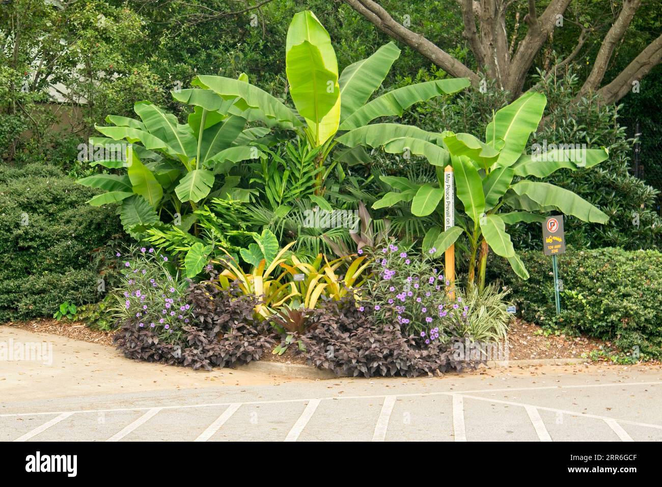 Atlanta Zoo Atlanta Georgia Stockfoto