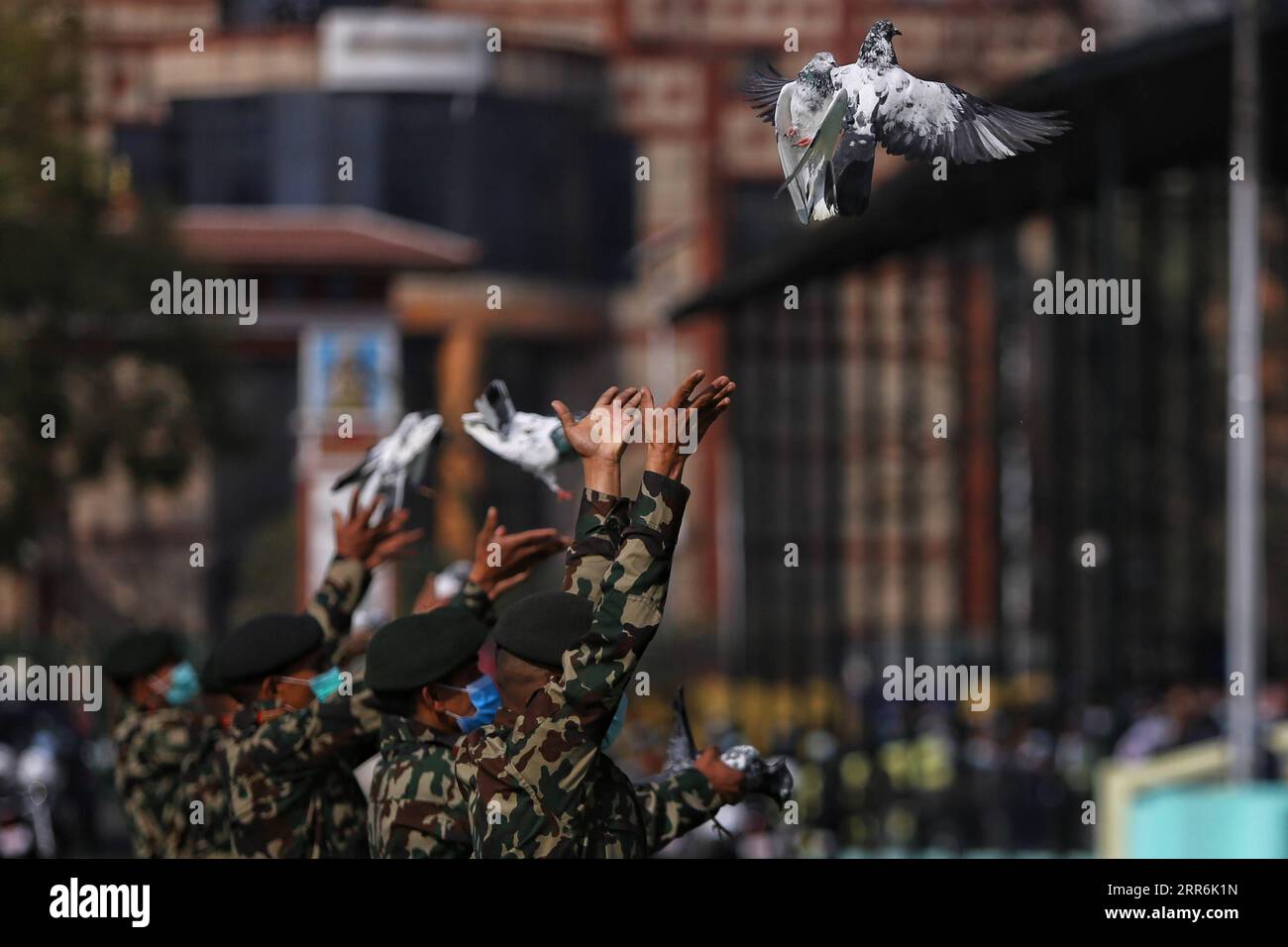 210219 -- KATHMANDU, 19. Februar 2021 -- Mitarbeiter der nepalesischen Armee entlassen Tauben während der Feierlichkeiten zum Nationalen Demokratietag in Kathmandu, Nepal, 19. Februar 2021. NEPAL-KATHMANDU-NATIONALER DEMOKRATIETAG SulavxShrestha PUBLICATIONxNOTxINxCHN Stockfoto