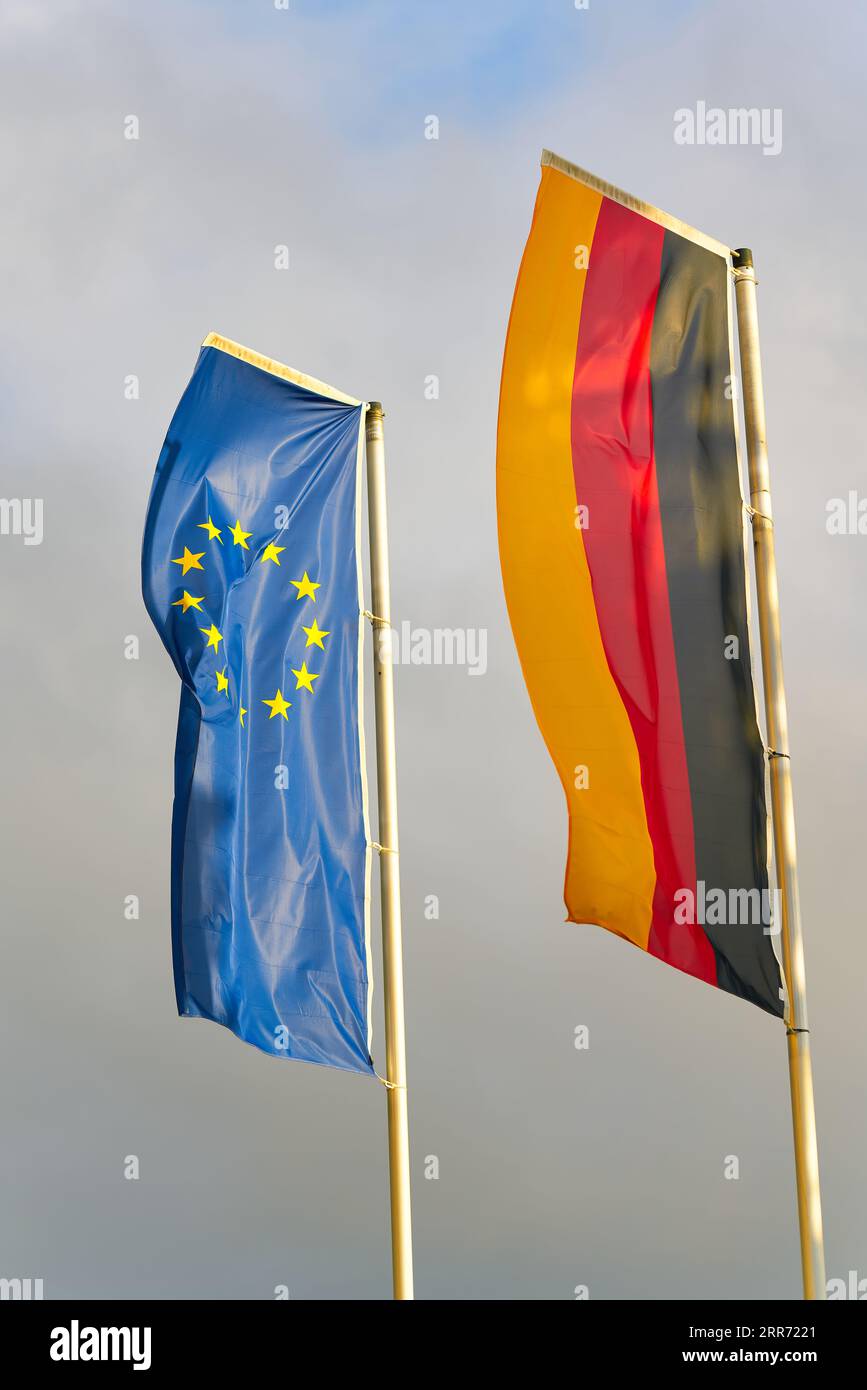 Die Flaggen der Europäischen Gemeinschaft und der Bundesrepublik Deutschland fliegen im Wind zusammen Stockfoto
