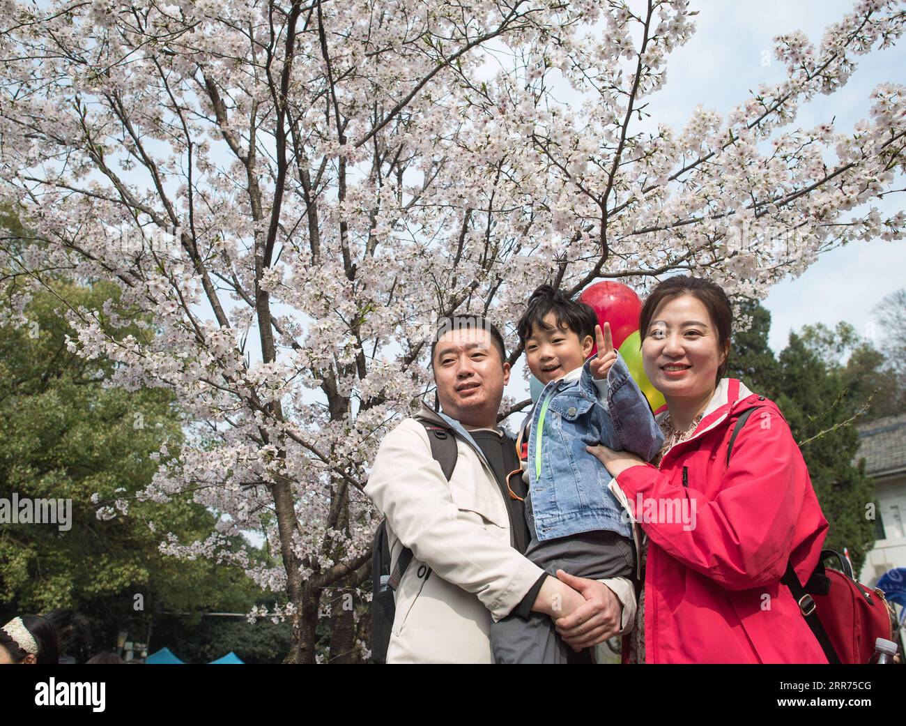 210313 -- WUHAN, 13. März 2021 -- Eine medizinische Mitarbeiterin aus Dandong der Provinz Liaoning posiert für ein Foto mit ihrer Familie an der Wuhan Universität in Wuhan, zentralchinesische Provinz Hubei, 13. März 2021. Wuhan University, einer der besten Orte in der Stadt, um die Augen der Kirschblüten zu genießen, angekündigt, dass es kostenlose exklusive Touren und Aufführungen für medizinische Mitarbeiter in ganz China anbieten würde, die Wuhan bei der Bekämpfung der Epidemie im Jahr 2020 und ihre Angehörigen von Samstag bis Sonntag unterstützt hatten. CHINA-HUBEI-WUHAN UNIVERSITÄT-KIRSCHBLÜTEN-MEDIZINISCHE ARBEITER CN XIAOXYIJIU PUBLICATIONXNOTXINXCHN Stockfoto