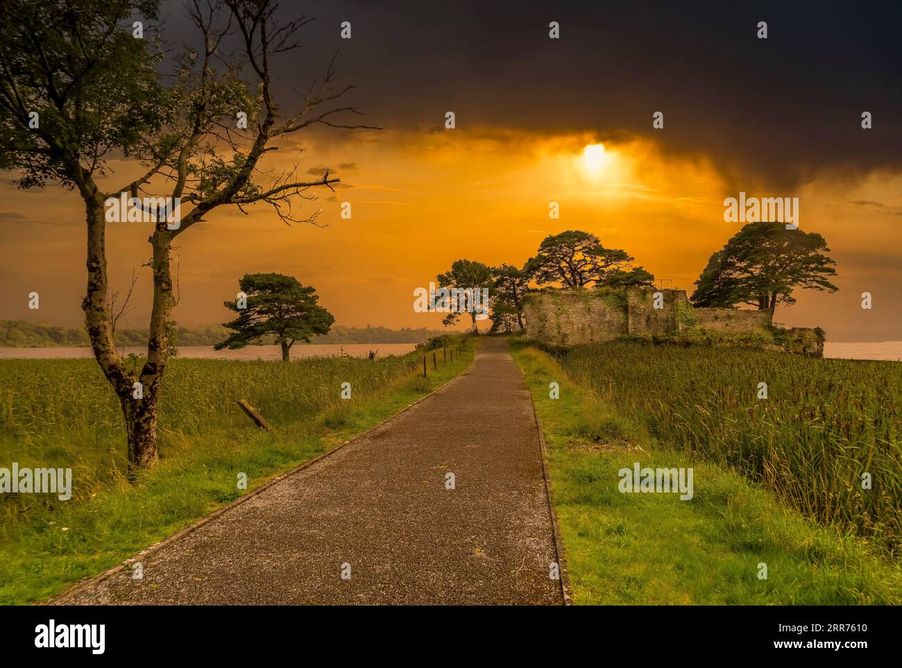 Castlelough ruinierte ein befestigtes Turmhaus auf einem Golfplatz auf einem niedrigen Vorgebirge (einst eine Insel) in Lough Leane in Killarney, im County Kerry in Irland Stockfoto