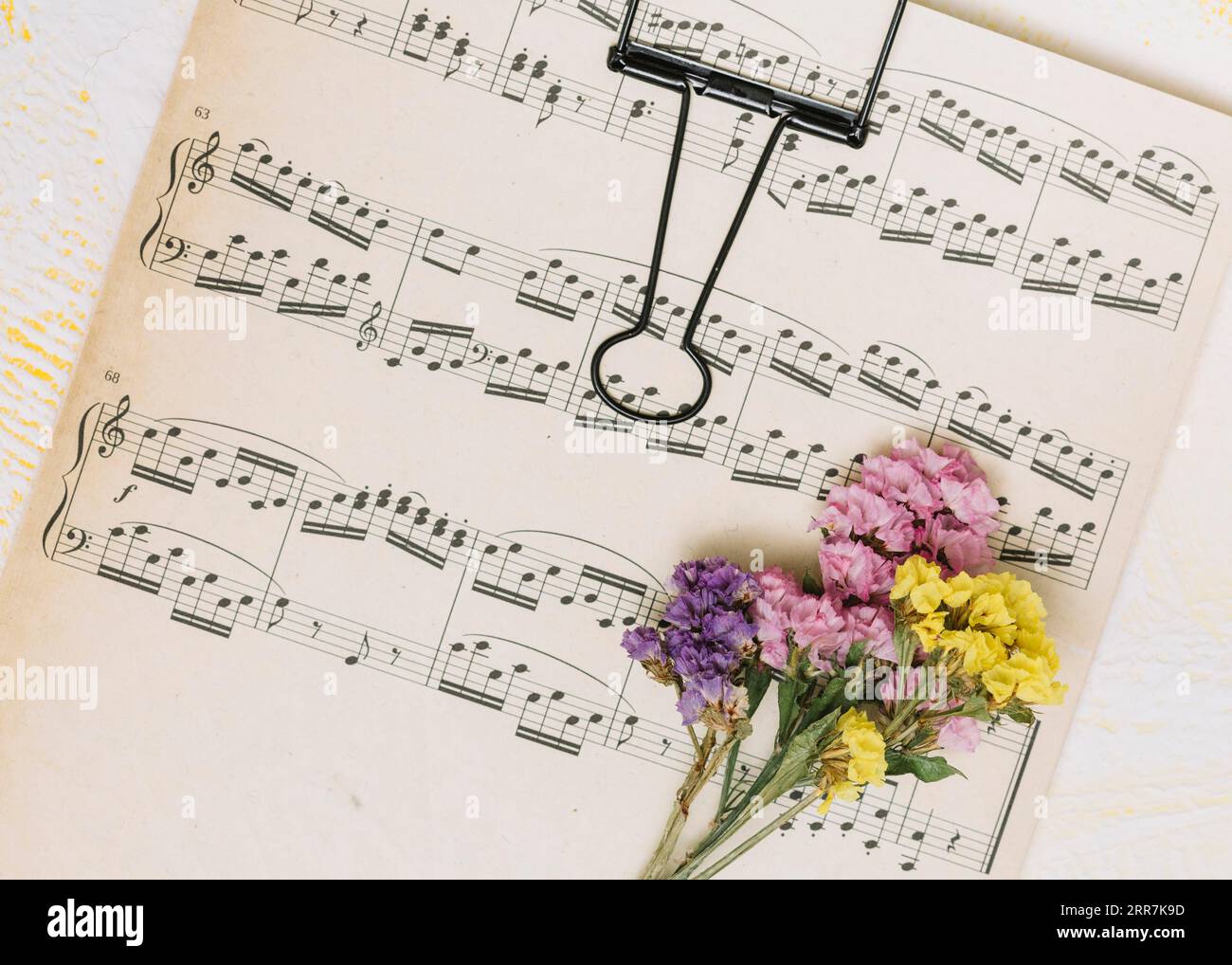 Kleine helle Blumen Zweige Musiknoten Stockfoto